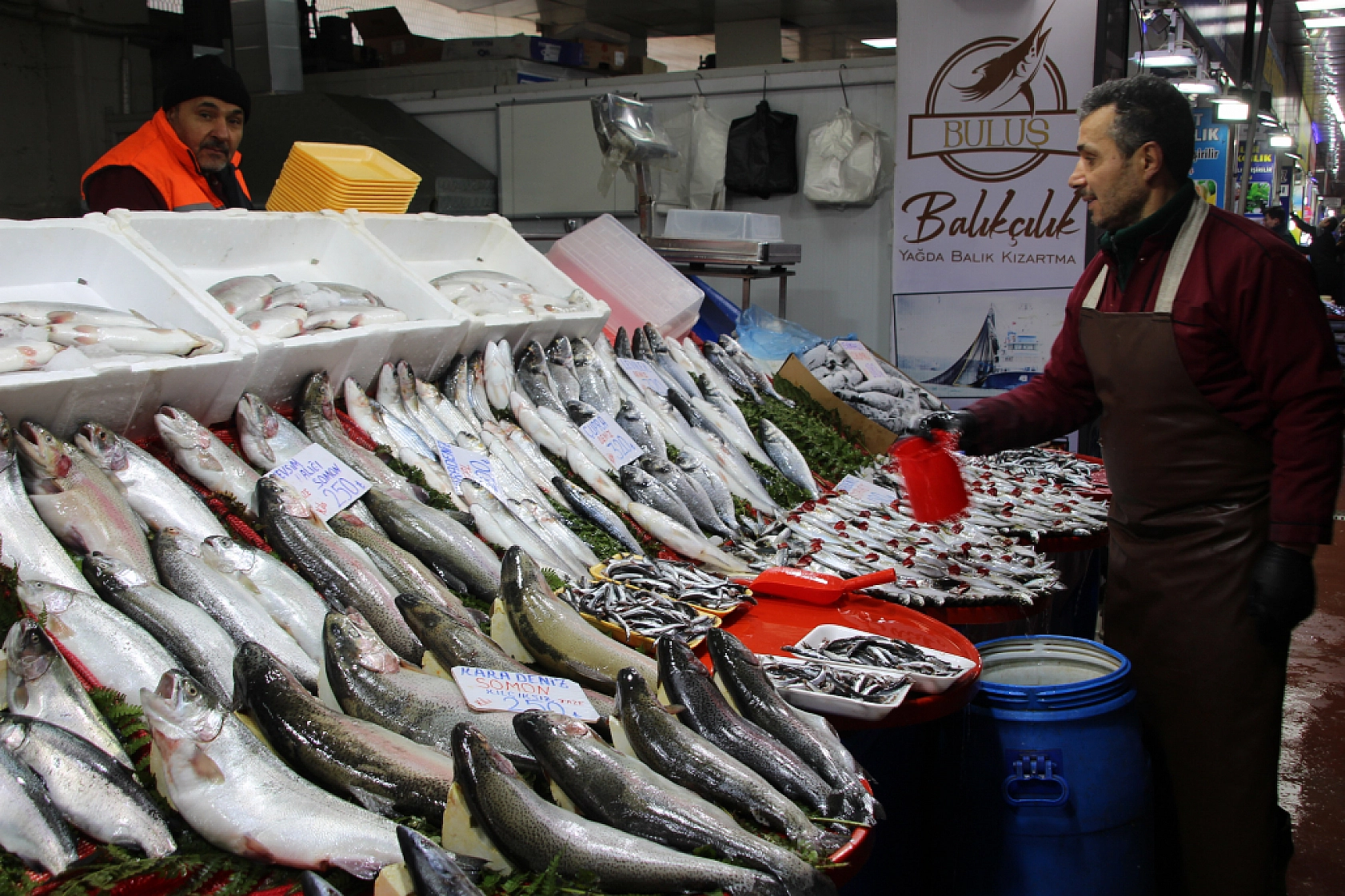 Balık Pazarlarında Fiyat Artışı! En Ucuz Balık Hangisi? İşte Detaylar...