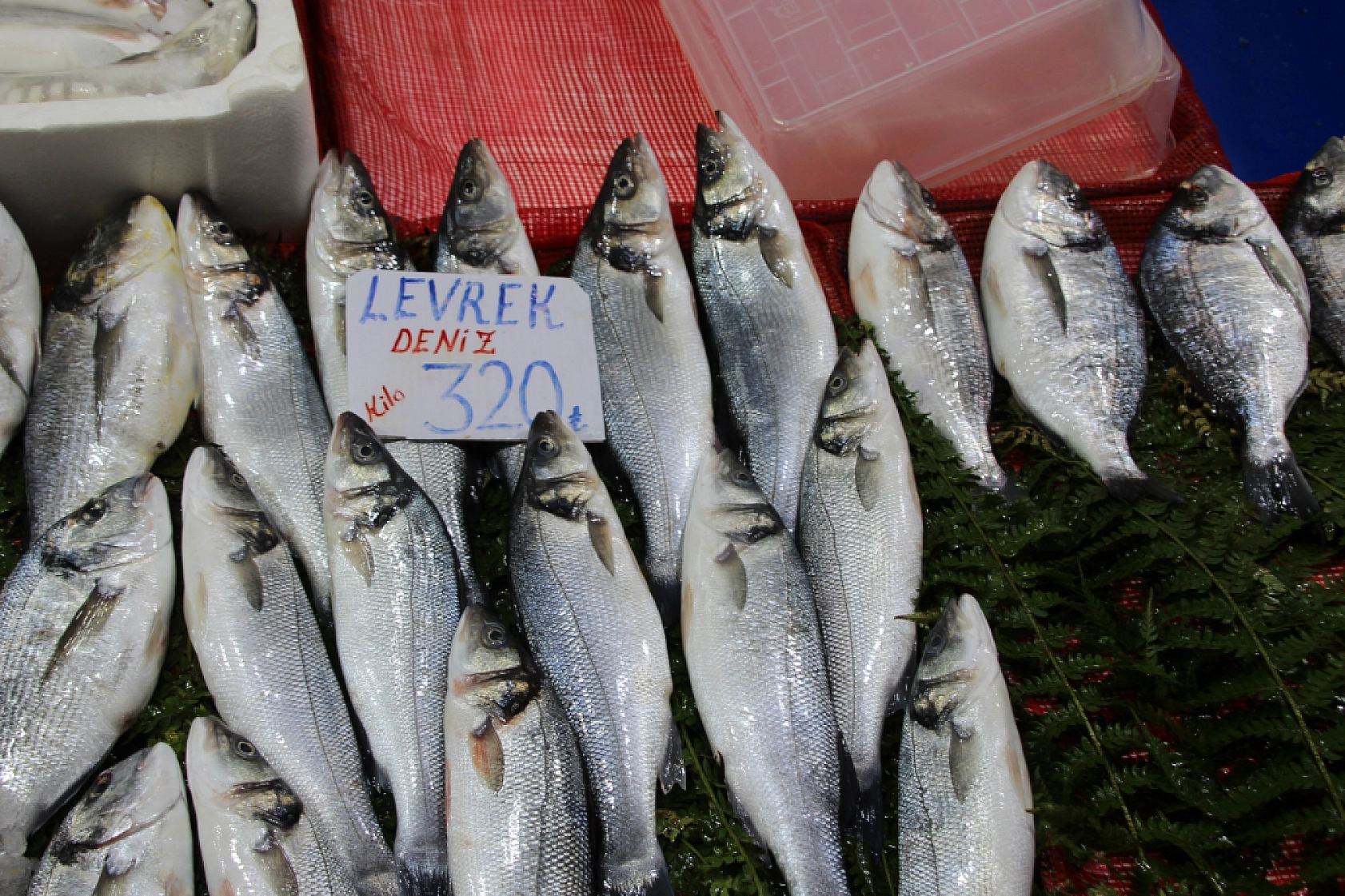 Balık Pazarlarında Fiyat Artışı! En Ucuz Balık Hangisi? İşte Detaylar...