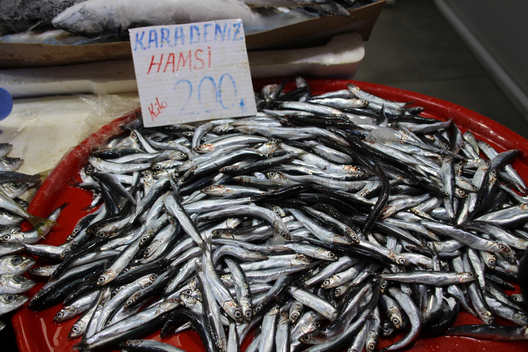 Balık Pazarlarında Fiyat Artışı! En Ucuz Balık Hangisi? İşte Detaylar...