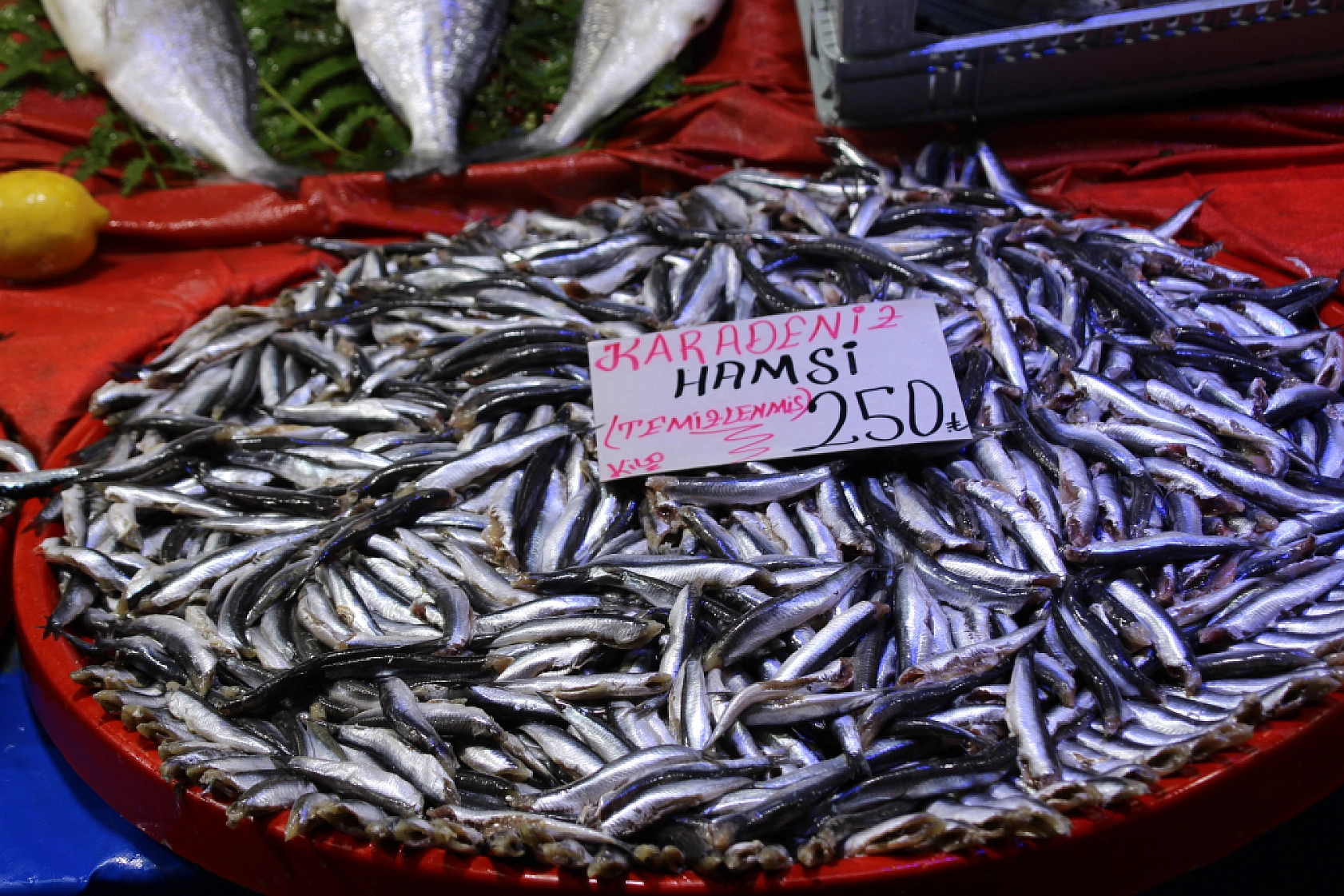 Balık Pazarlarında Fiyat Artışı! En Ucuz Balık Hangisi? İşte Detaylar...