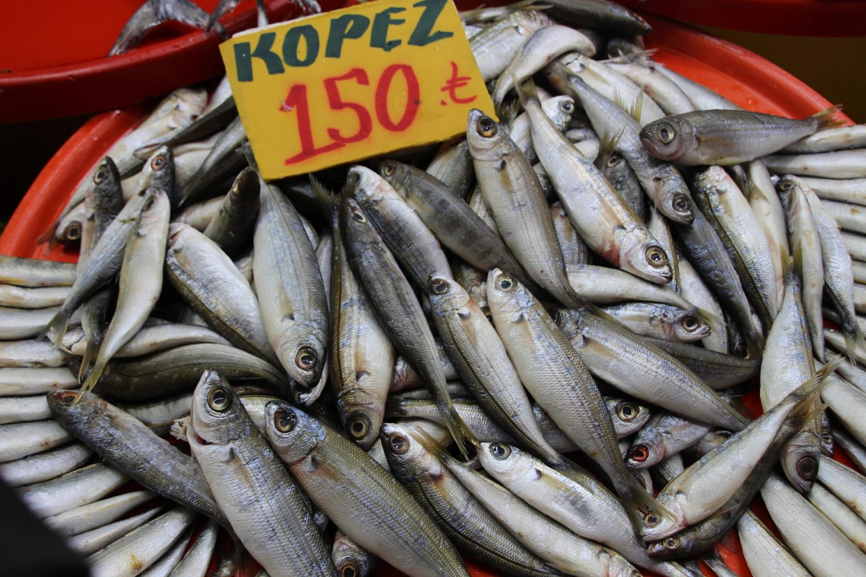 Balık Pazarlarında Fiyat Artışı! En Ucuz Balık Hangisi? İşte Detaylar...