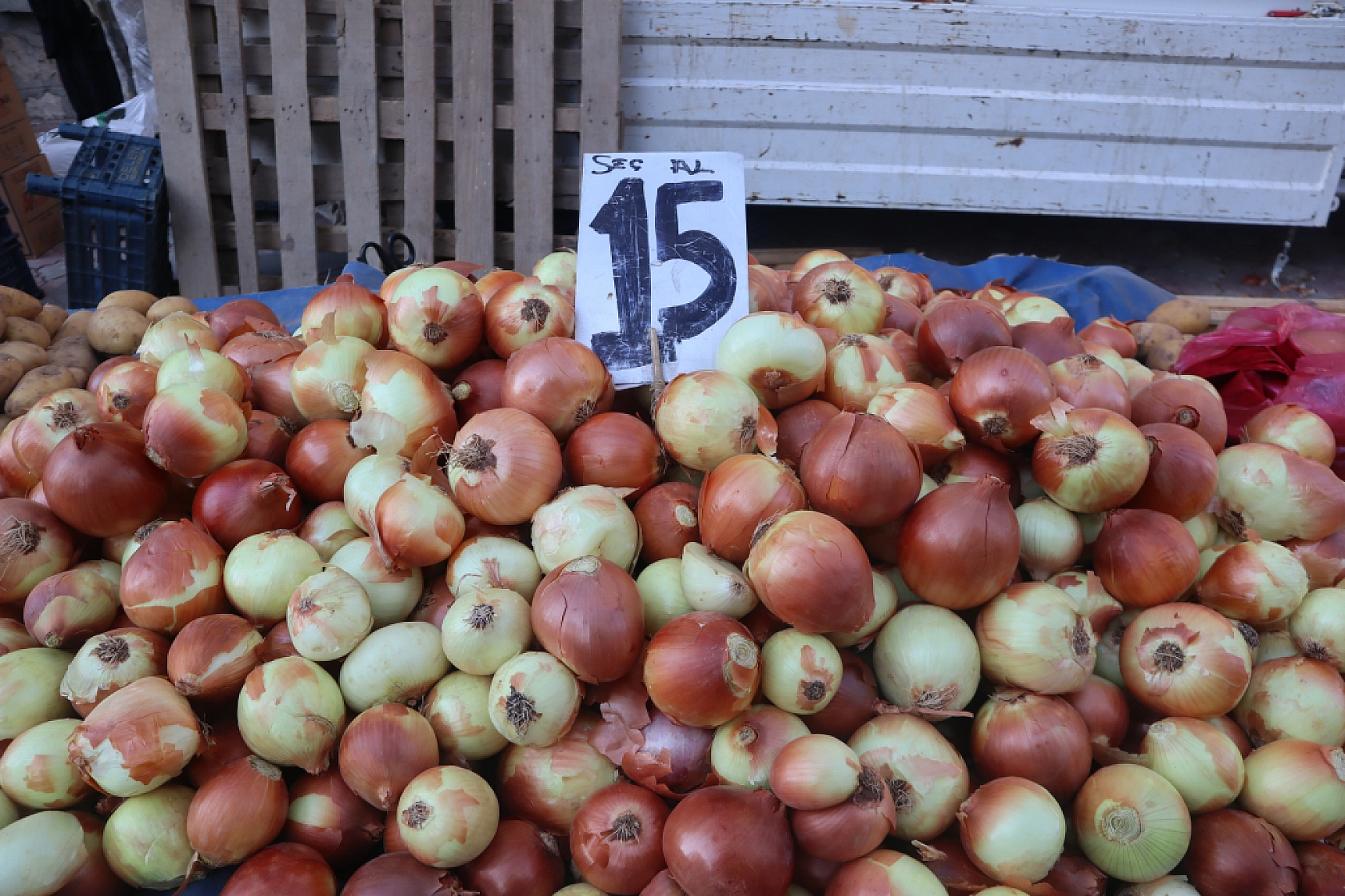 Malatya'da kurutmalık ve salçalık domates ile biber tezgahlarda! Peki fiyatları ne kadar?