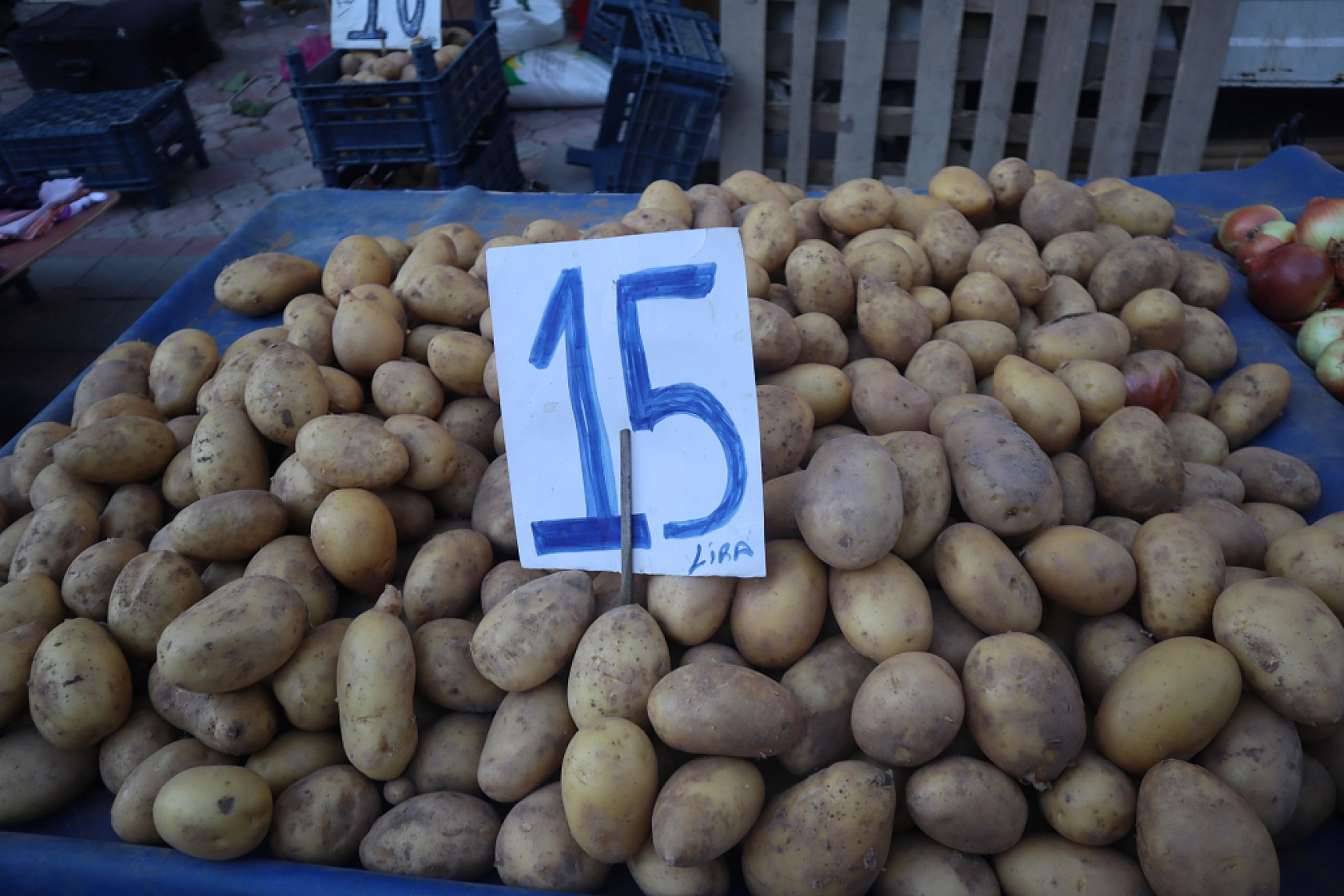Malatya'da kurutmalık ve salçalık domates ile biber tezgahlarda! Peki fiyatları ne kadar?