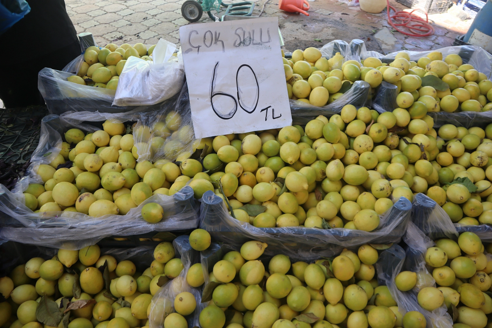Malatya'da kurutmalık ve salçalık domates ile biber tezgahlarda! Peki fiyatları ne kadar?