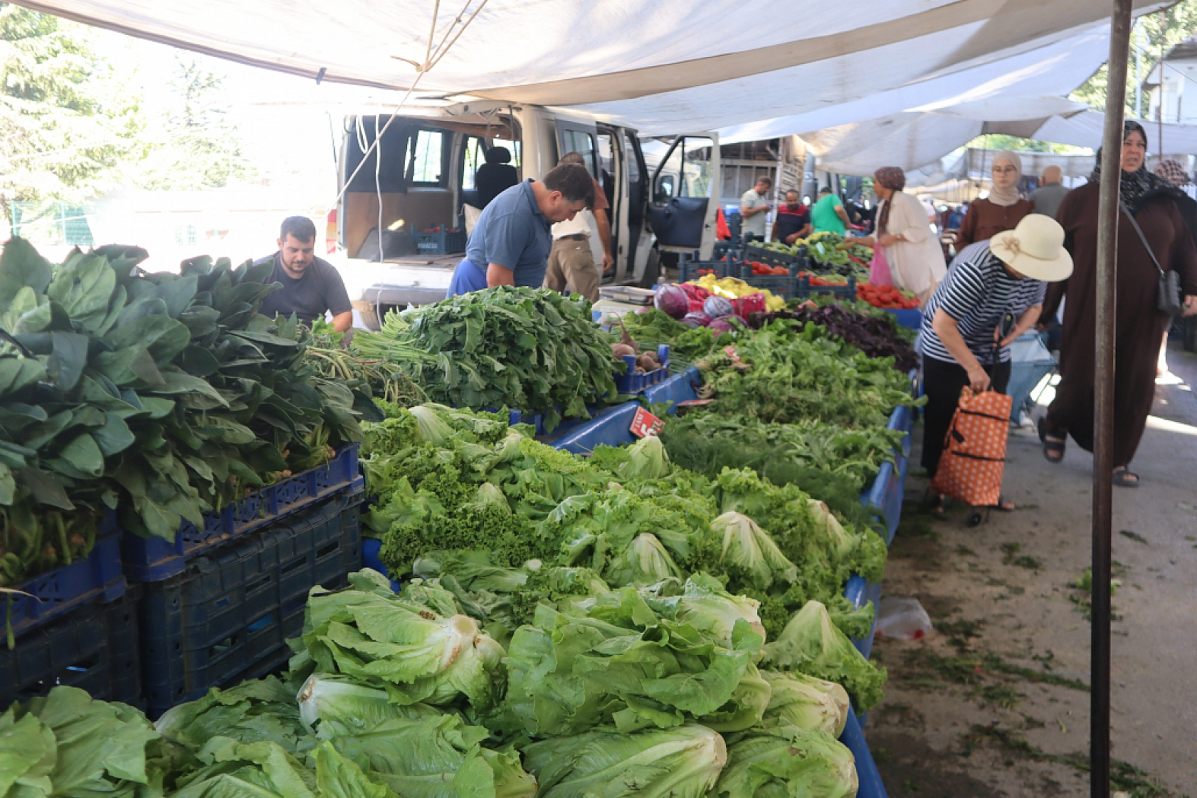 Malatya'da kurutmalık ve salçalık domates ile biber tezgahlarda! Peki fiyatları ne kadar?