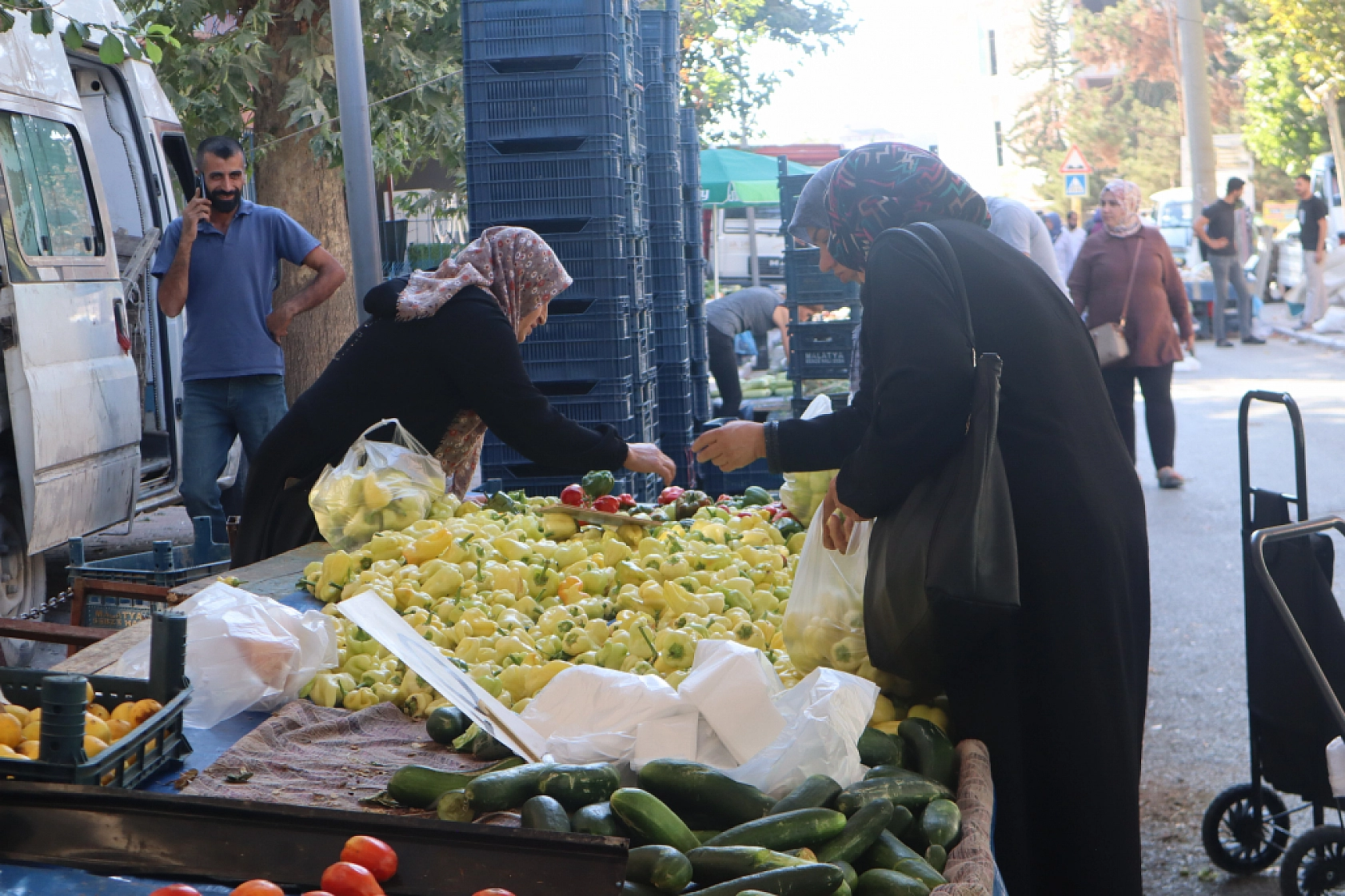 Malatya'da kurutmalık ve salçalık domates ile biber tezgahlarda! Peki fiyatları ne kadar?