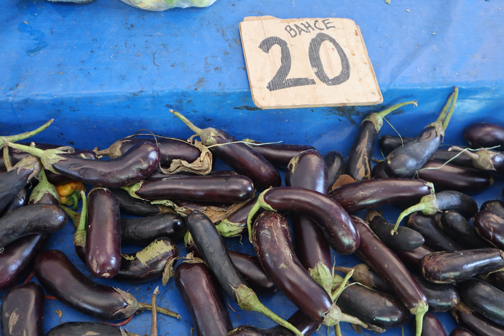 Malatya'da kurutmalık ve salçalık domates ile biber tezgahlarda! Peki fiyatları ne kadar?