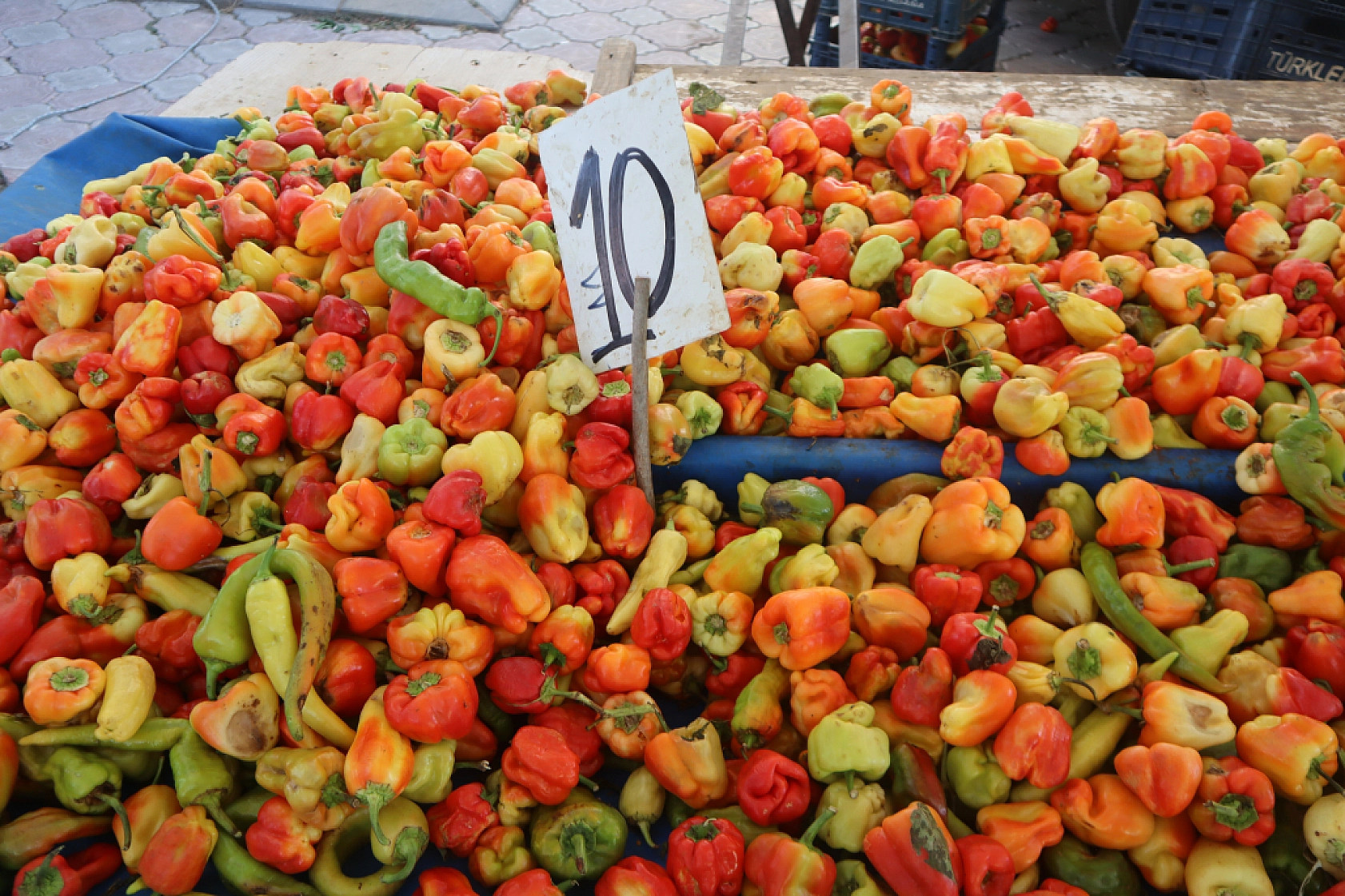 Malatya'da kurutmalık ve salçalık domates ile biber tezgahlarda! Peki fiyatları ne kadar?