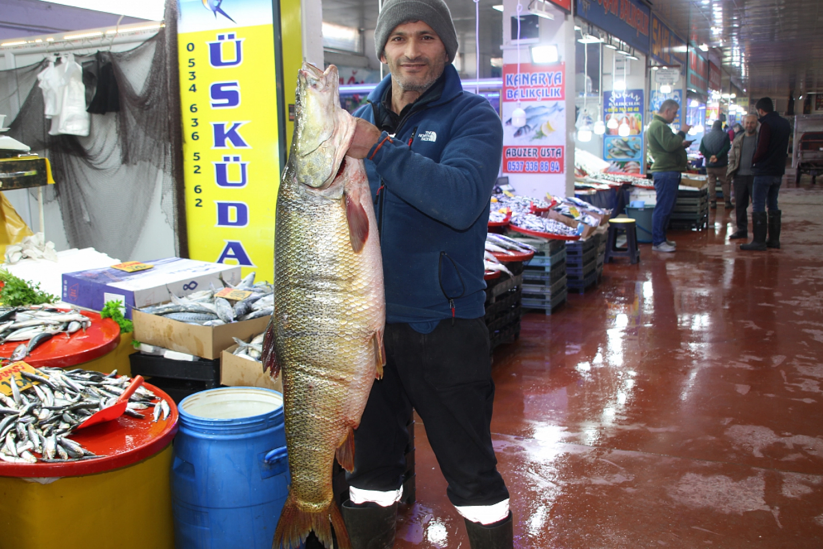 Balık Pazarlarında Fiyat Artışı! En Ucuz Balık Hangisi? İşte Detaylar...