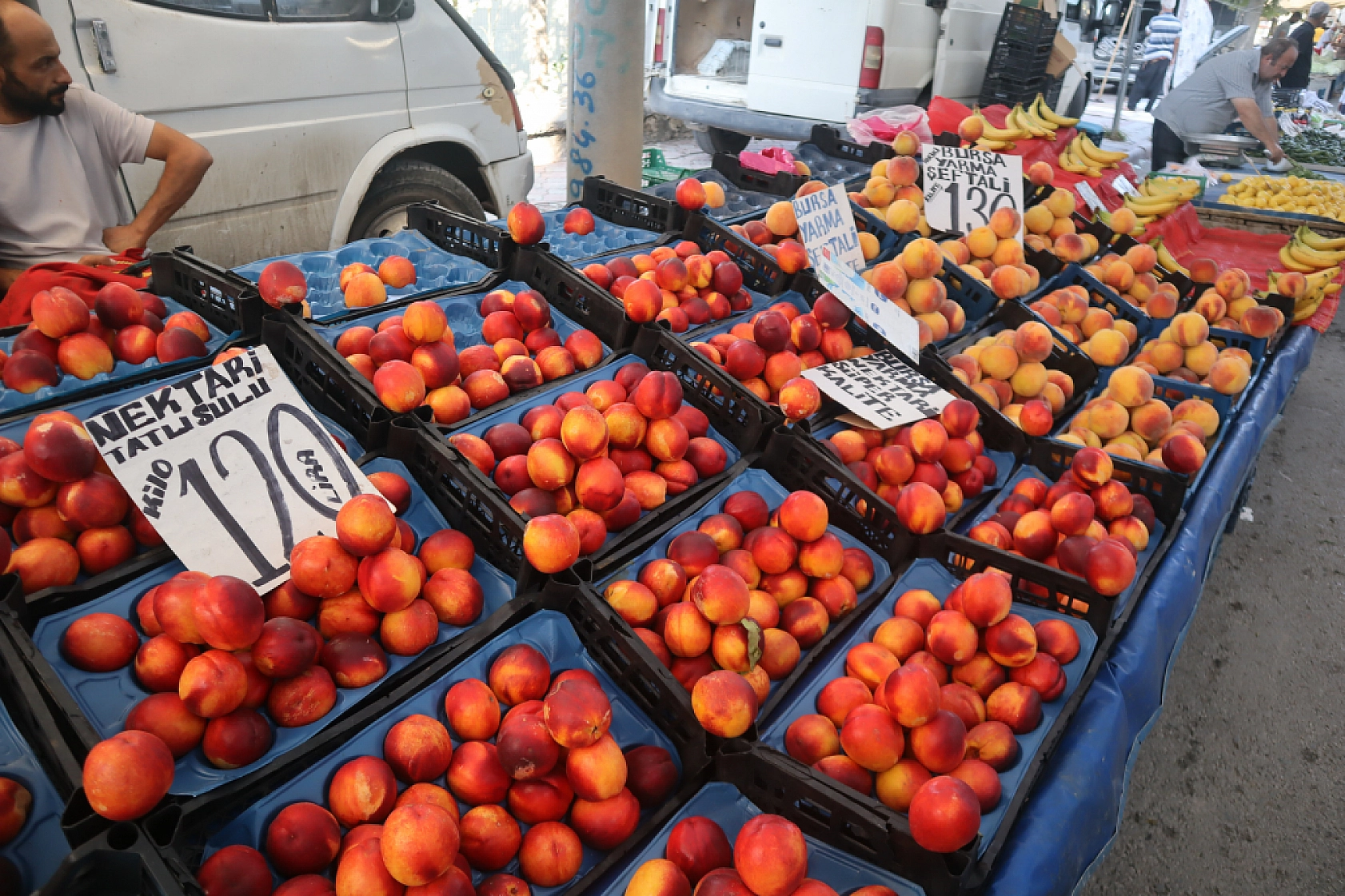 Malatya'da kurutmalık ve salçalık domates ile biber tezgahlarda! Peki fiyatları ne kadar?