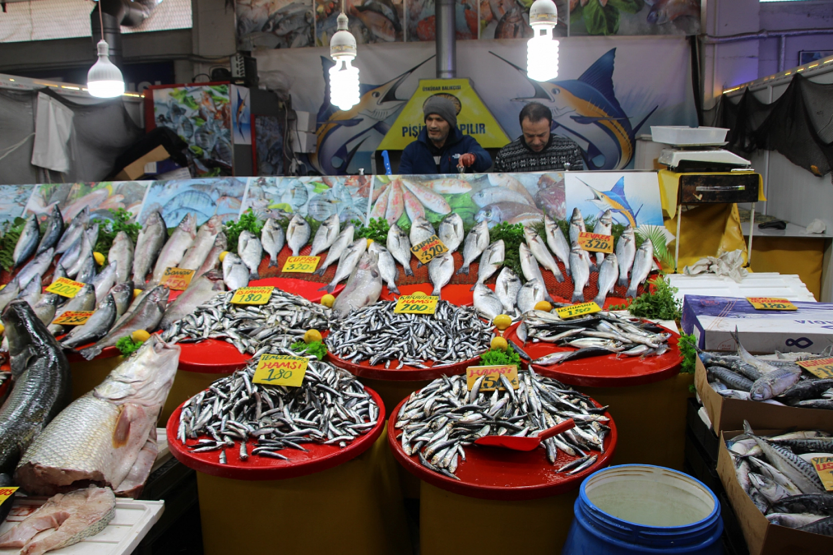 Balık Pazarlarında Fiyat Artışı! En Ucuz Balık Hangisi? İşte Detaylar...
