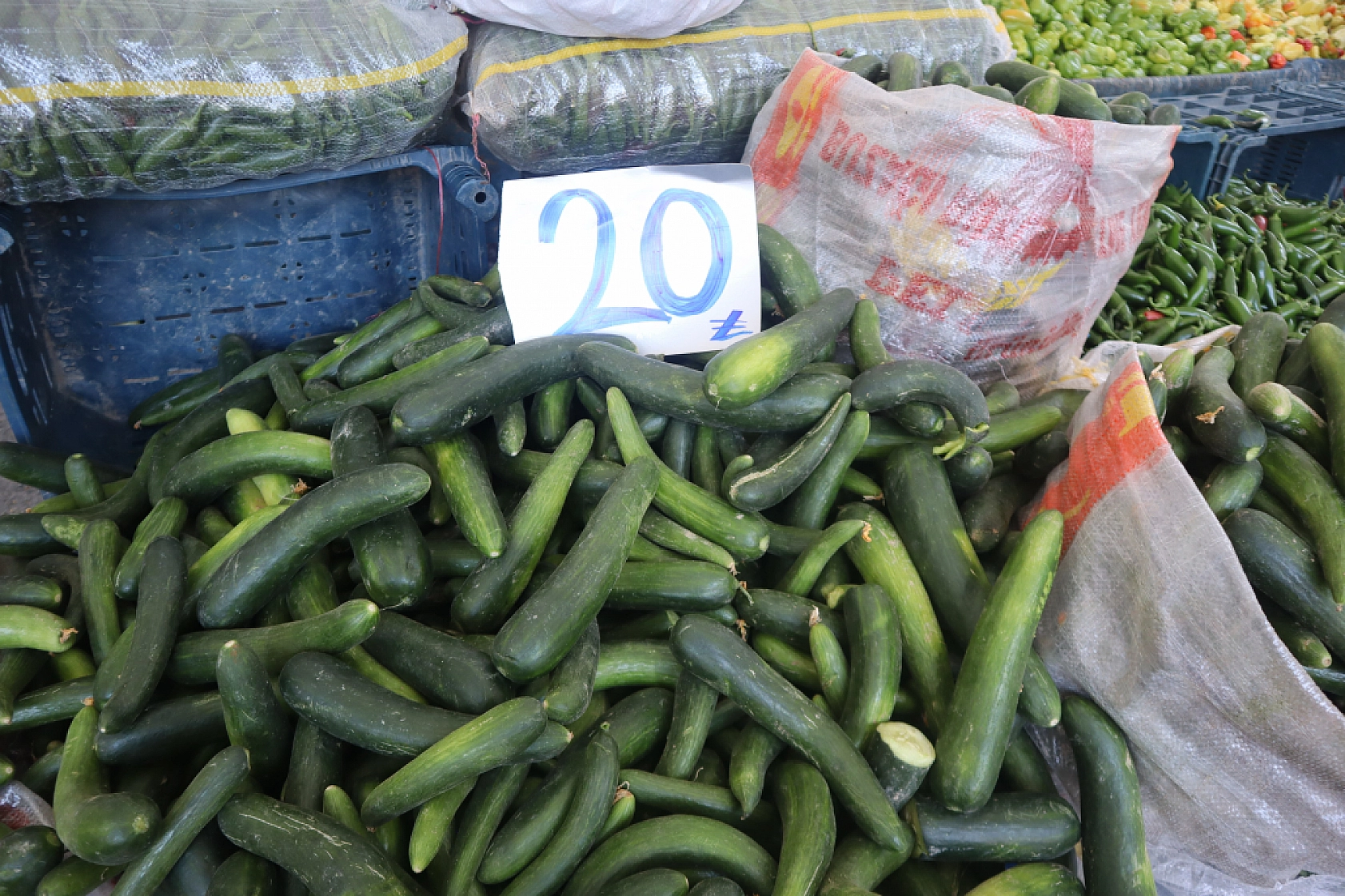 Malatya'da kurutmalık ve salçalık domates ile biber tezgahlarda! Peki fiyatları ne kadar?