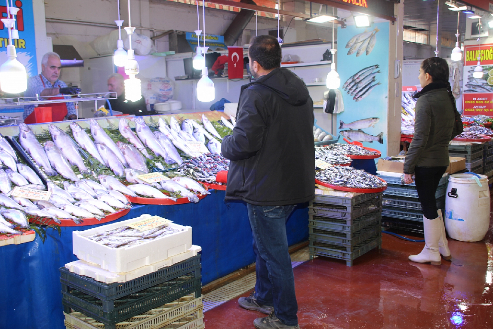 Balık Pazarlarında Fiyat Artışı! En Ucuz Balık Hangisi? İşte Detaylar...