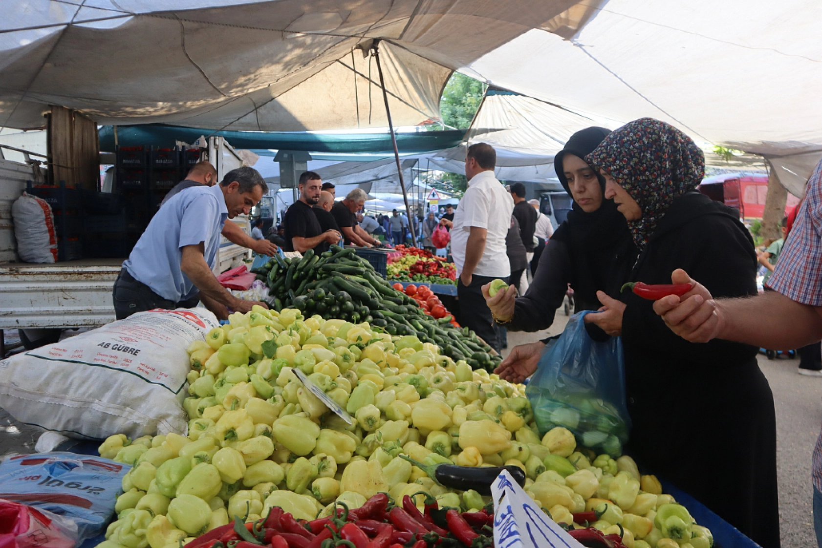 Malatya'da kurutmalık ve salçalık domates ile biber tezgahlarda! Peki fiyatları ne kadar?