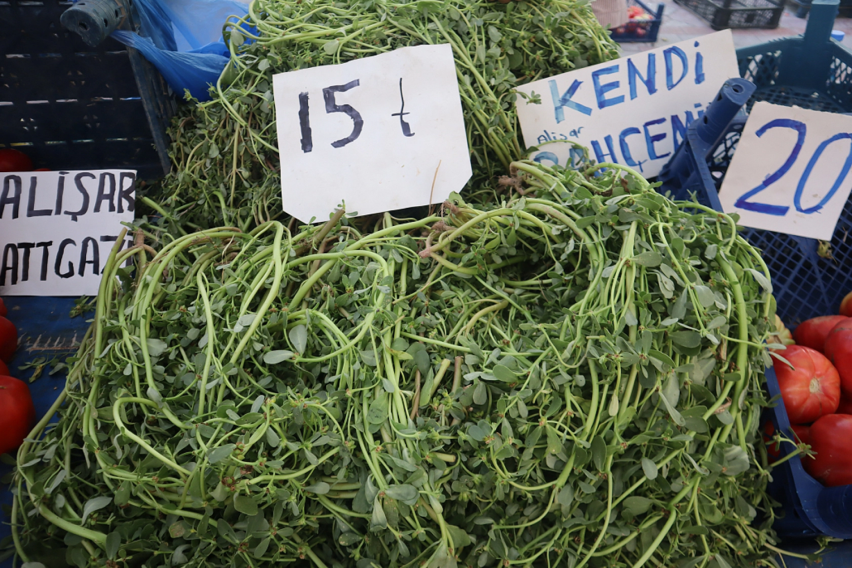 Malatya'da kurutmalık ve salçalık domates ile biber tezgahlarda! Peki fiyatları ne kadar?