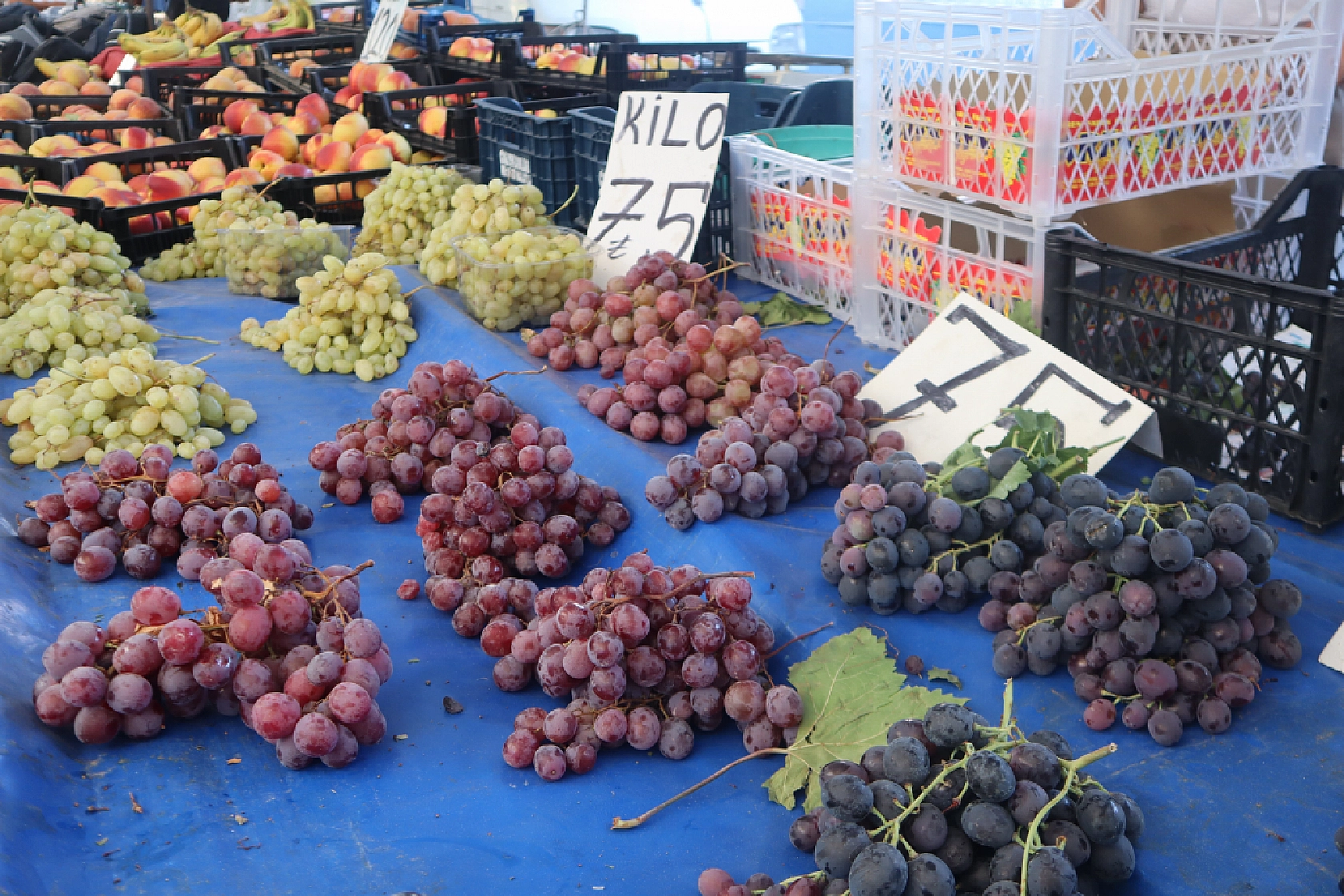 Malatya'da kurutmalık ve salçalık domates ile biber tezgahlarda! Peki fiyatları ne kadar?