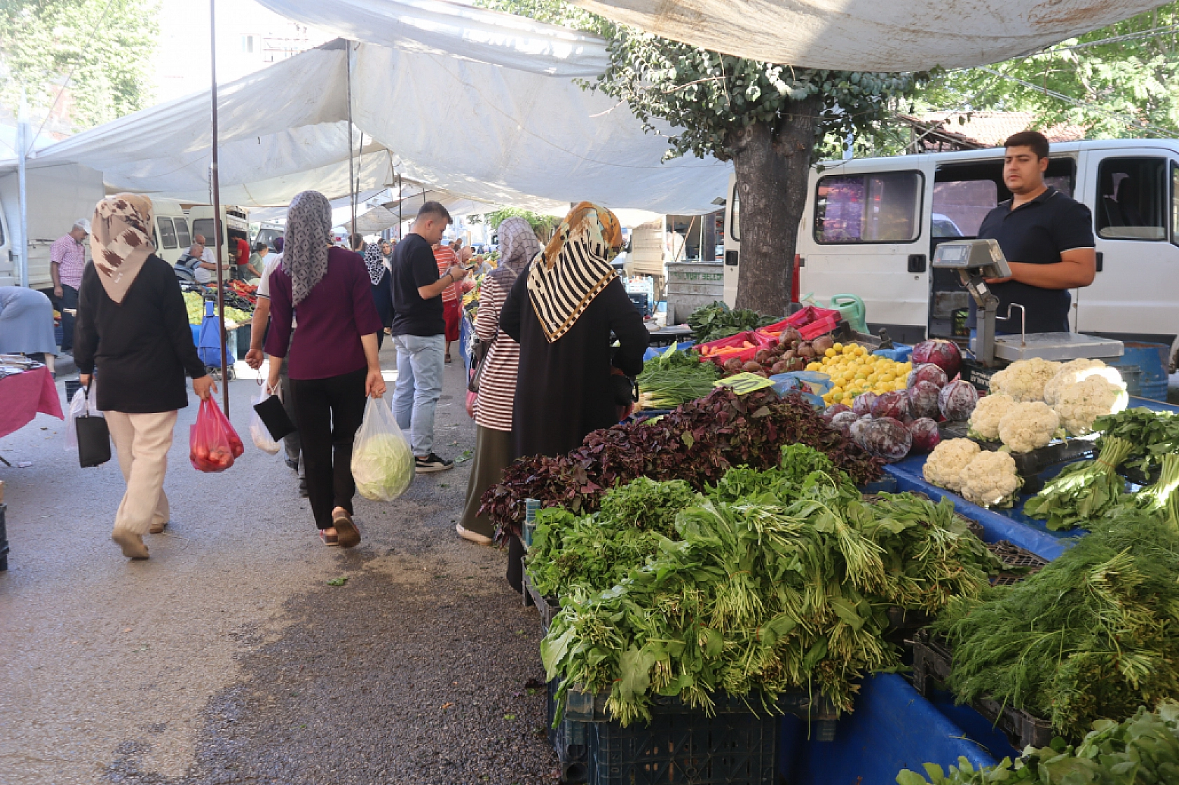 Malatya'da kurutmalık ve salçalık domates ile biber tezgahlarda! Peki fiyatları ne kadar?
