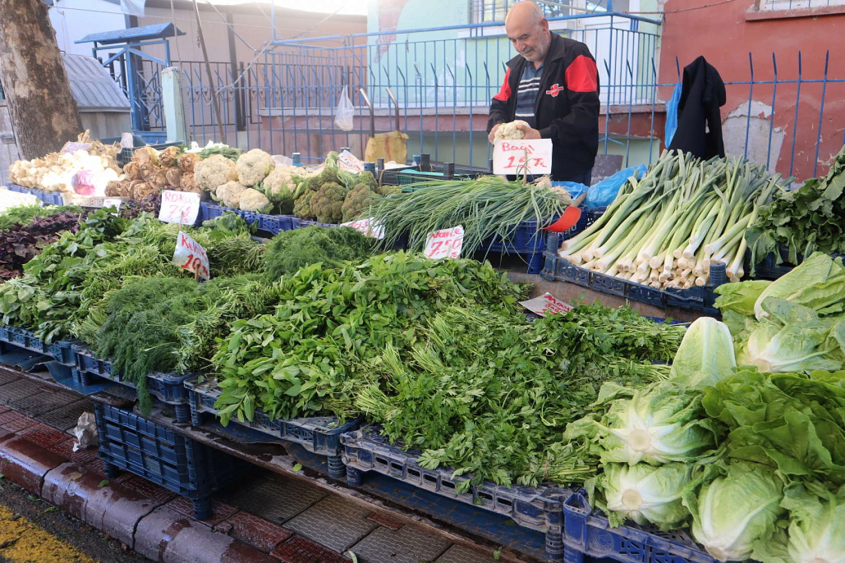 Malatyalıların Turşu Hazırlıkları Pahalıya Patladı! Fiyatlar Cep Yakıyor..!