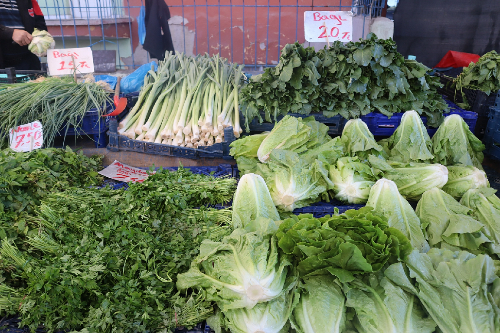 Malatyalıların Turşu Hazırlıkları Pahalıya Patladı! Fiyatlar Cep Yakıyor..!