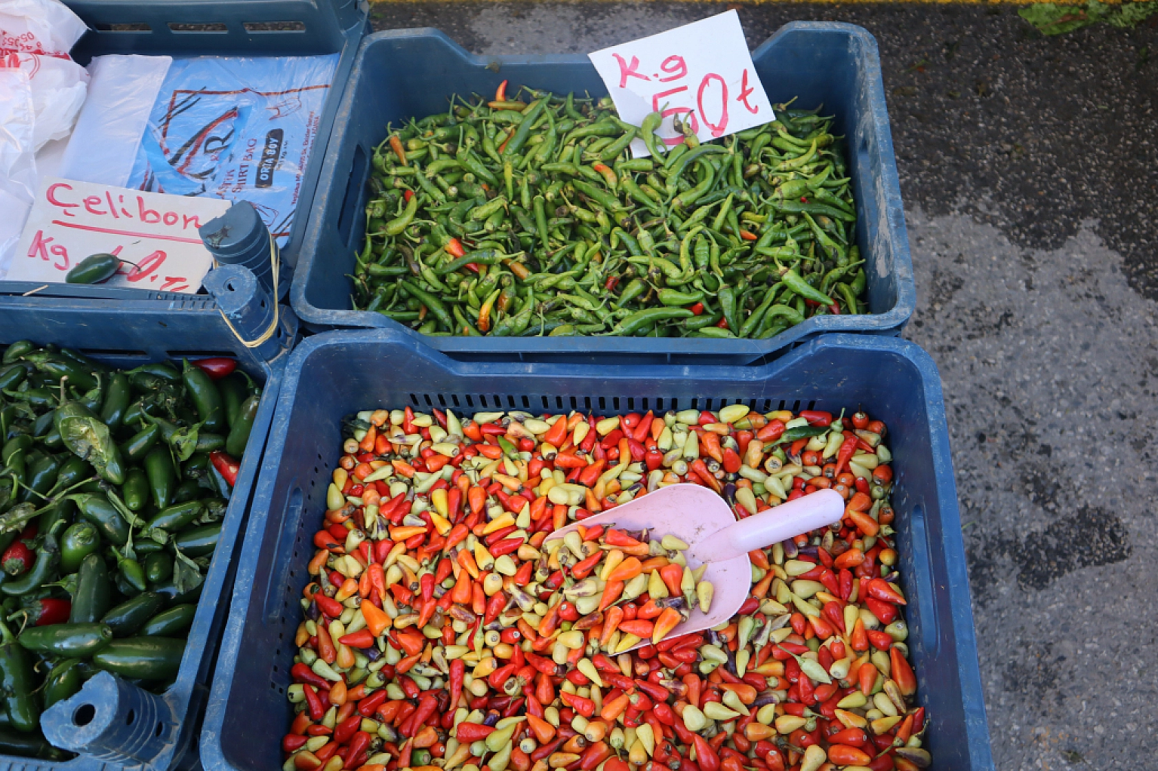 Malatyalıların Turşu Hazırlıkları Pahalıya Patladı! Fiyatlar Cep Yakıyor..!