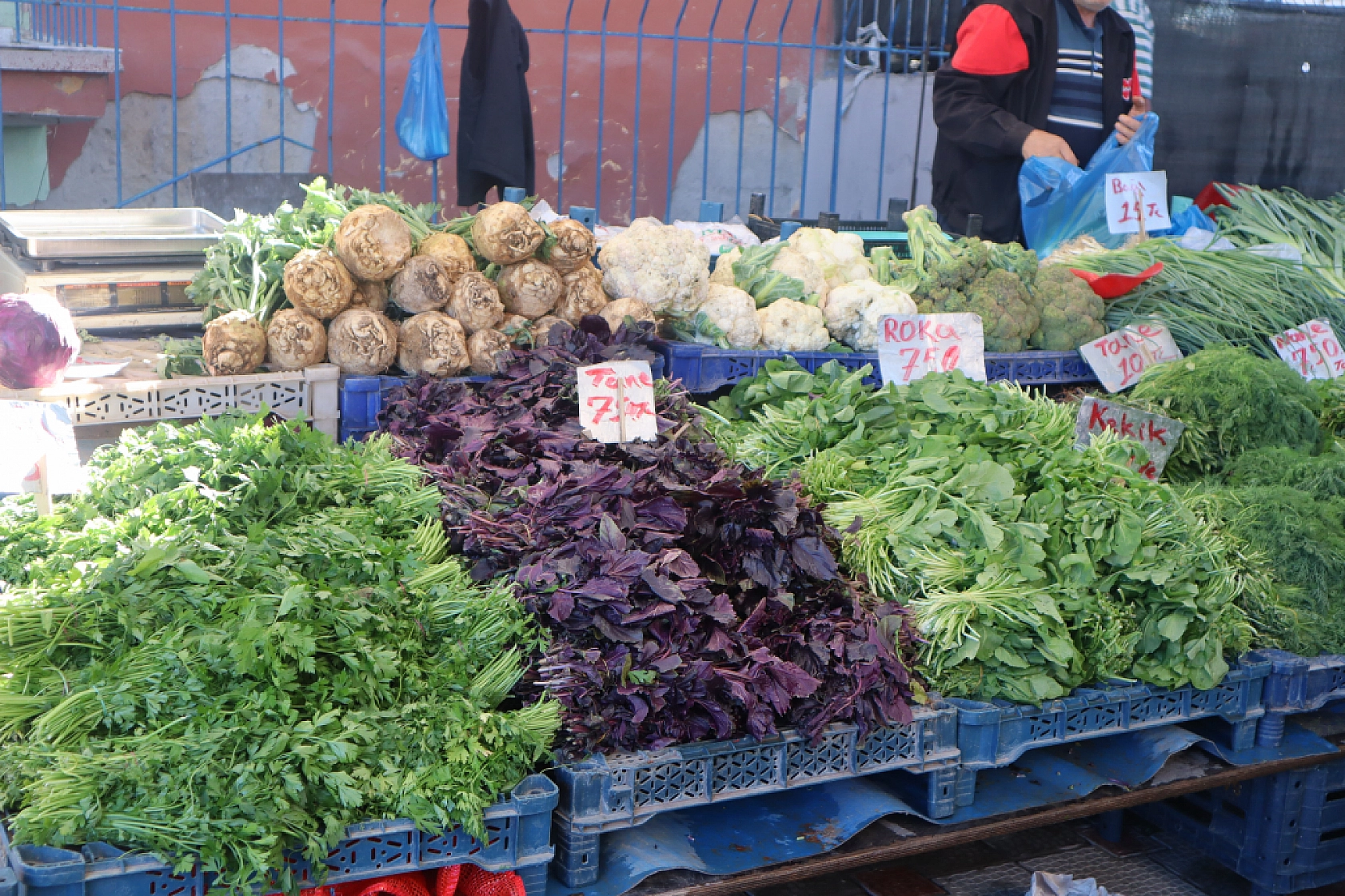Malatyalıların Turşu Hazırlıkları Pahalıya Patladı! Fiyatlar Cep Yakıyor..!