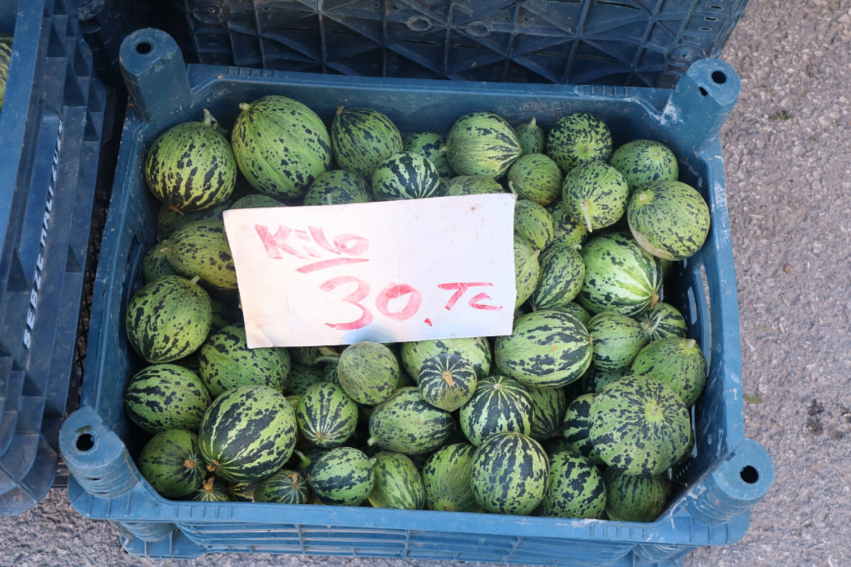 Malatyalıların Turşu Hazırlıkları Pahalıya Patladı! Fiyatlar Cep Yakıyor..!