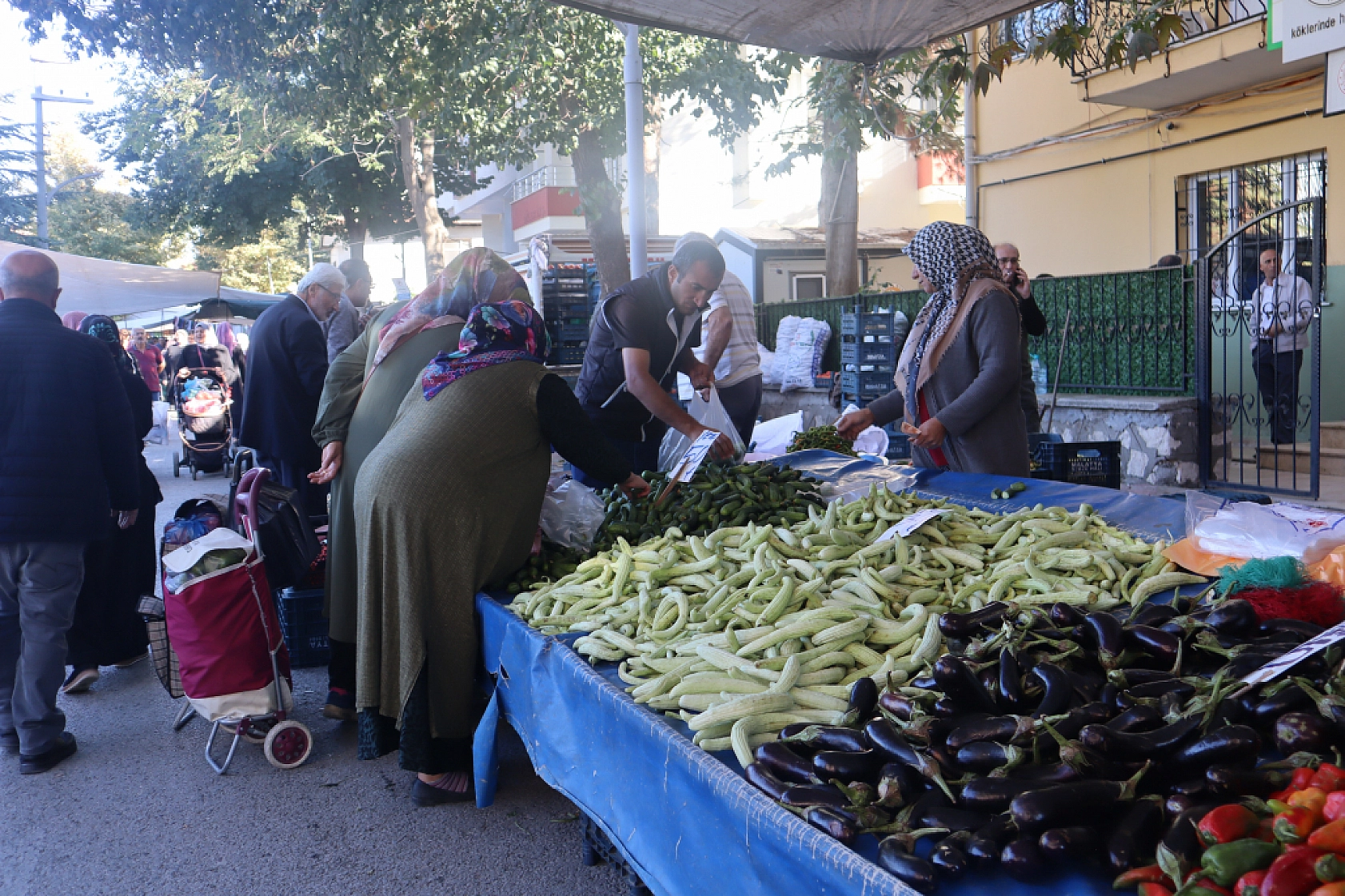 Malatyalıların Turşu Hazırlıkları Pahalıya Patladı! Fiyatlar Cep Yakıyor..!