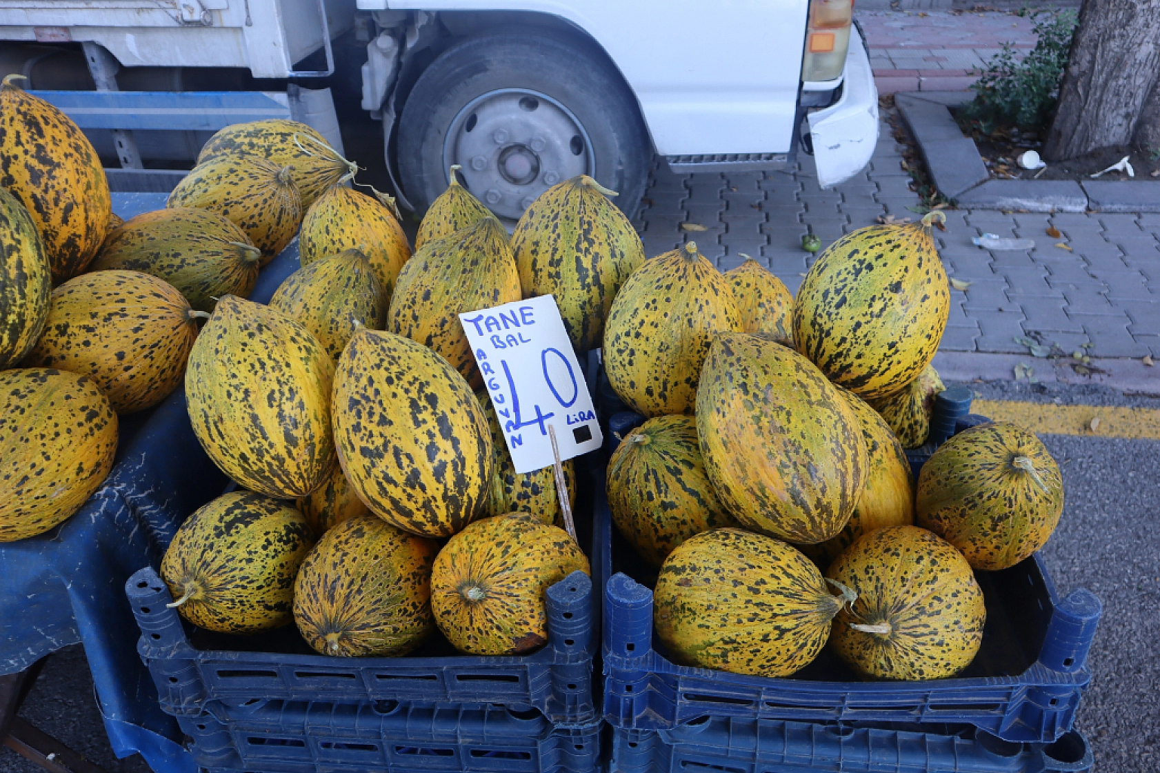 Malatyalıların Turşu Hazırlıkları Pahalıya Patladı! Fiyatlar Cep Yakıyor..!