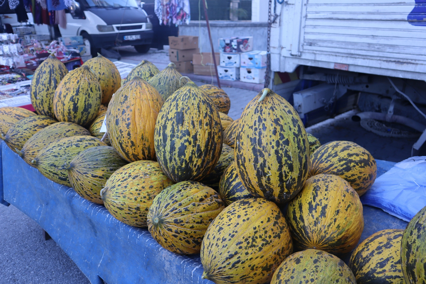 Malatyalıların Turşu Hazırlıkları Pahalıya Patladı! Fiyatlar Cep Yakıyor..!