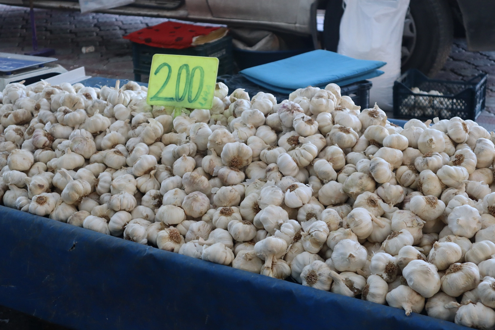 Malatyalıların Turşu Hazırlıkları Pahalıya Patladı! Fiyatlar Cep Yakıyor..!