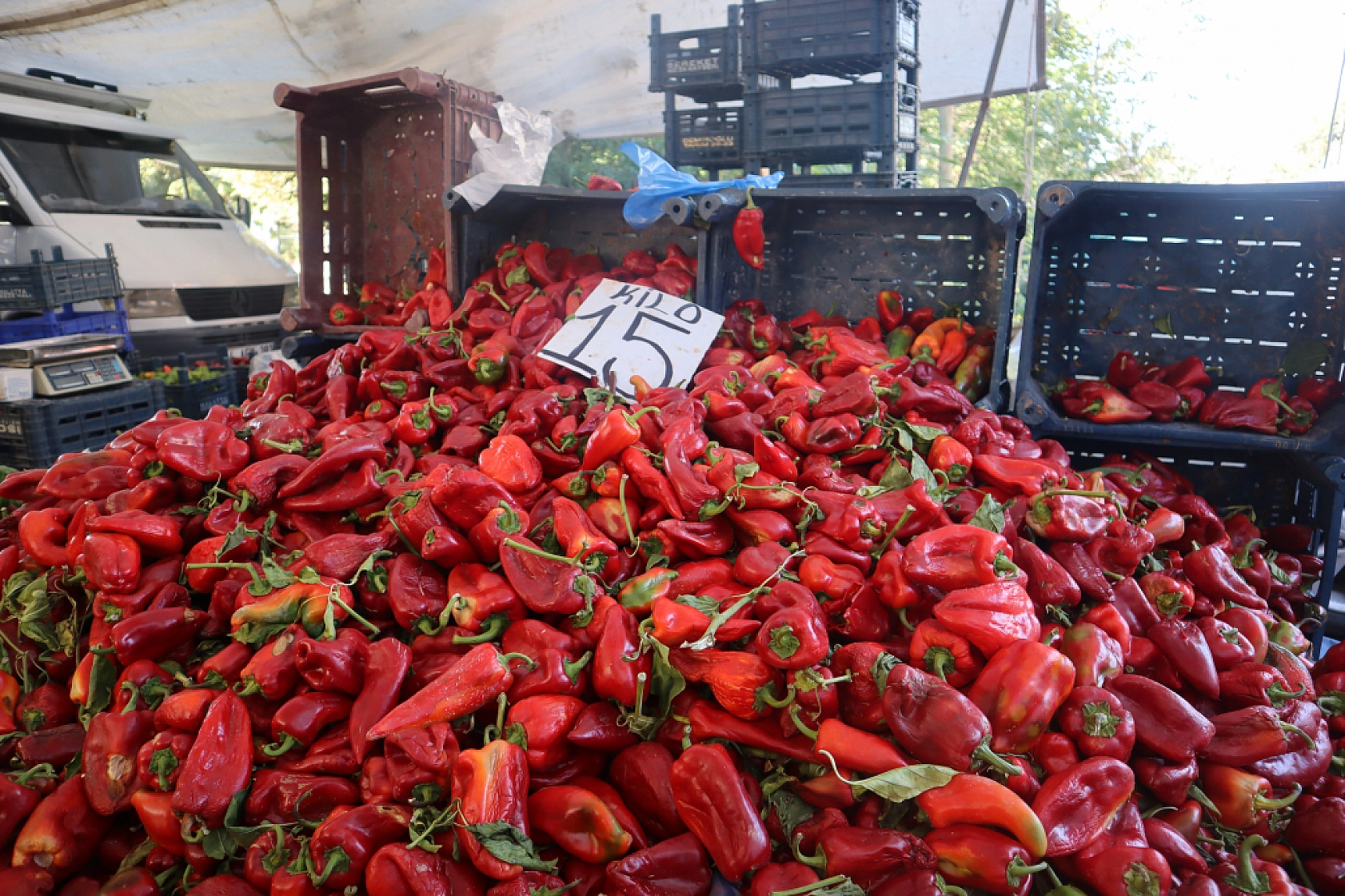 Malatyalıların Turşu Hazırlıkları Pahalıya Patladı! Fiyatlar Cep Yakıyor..!