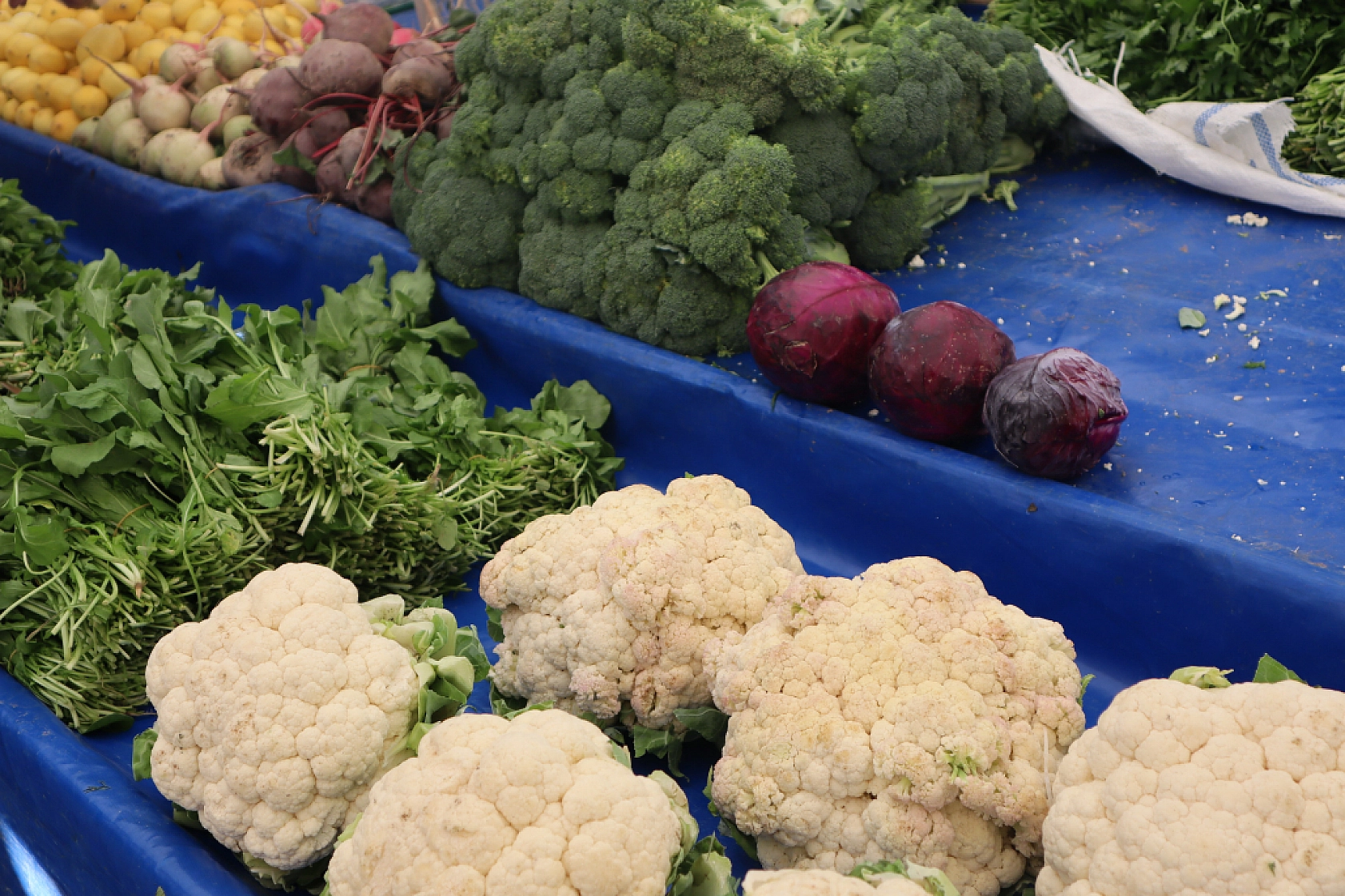 Malatyalıların Turşu Hazırlıkları Pahalıya Patladı! Fiyatlar Cep Yakıyor..!