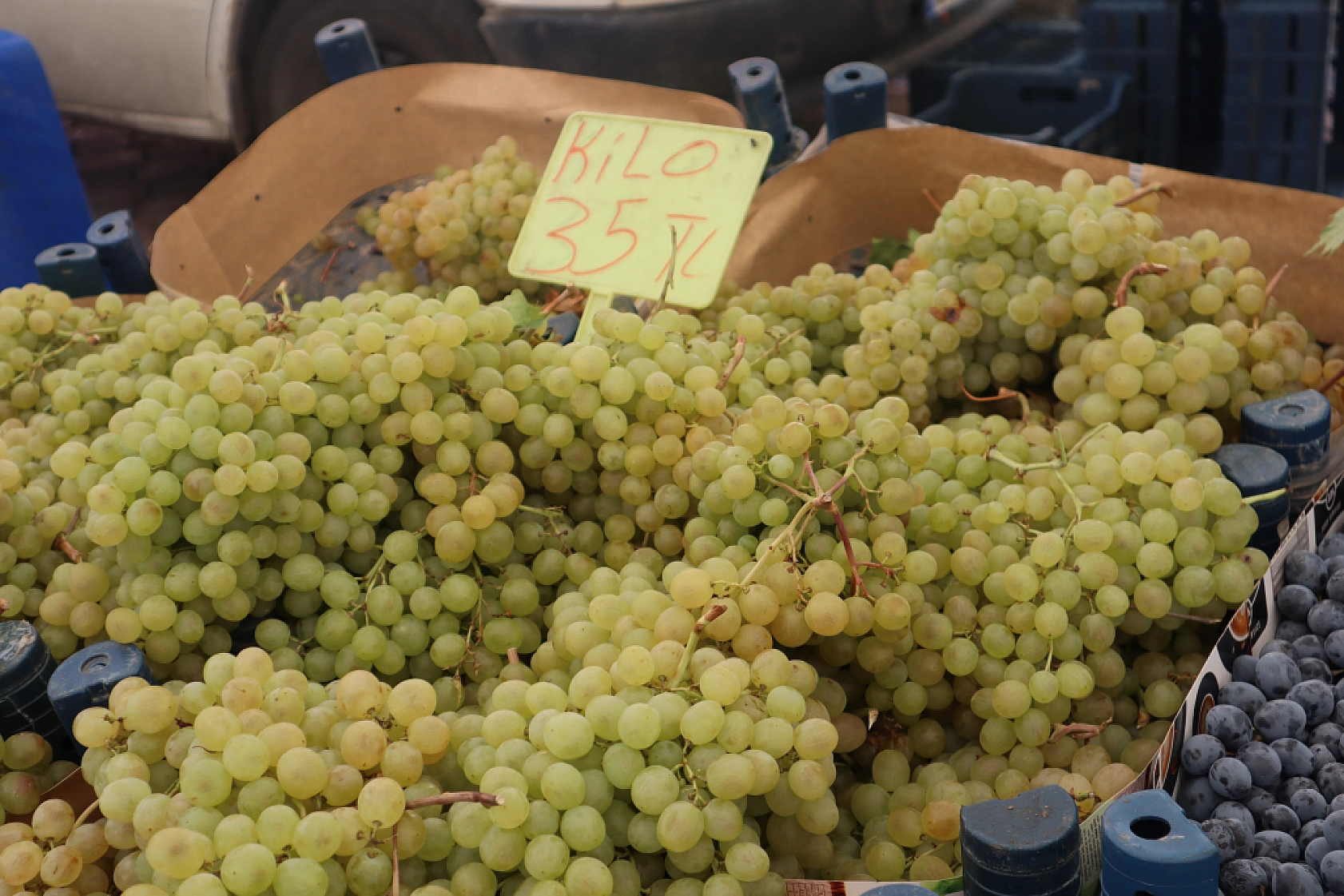Malatyalıların Turşu Hazırlıkları Pahalıya Patladı! Fiyatlar Cep Yakıyor..!