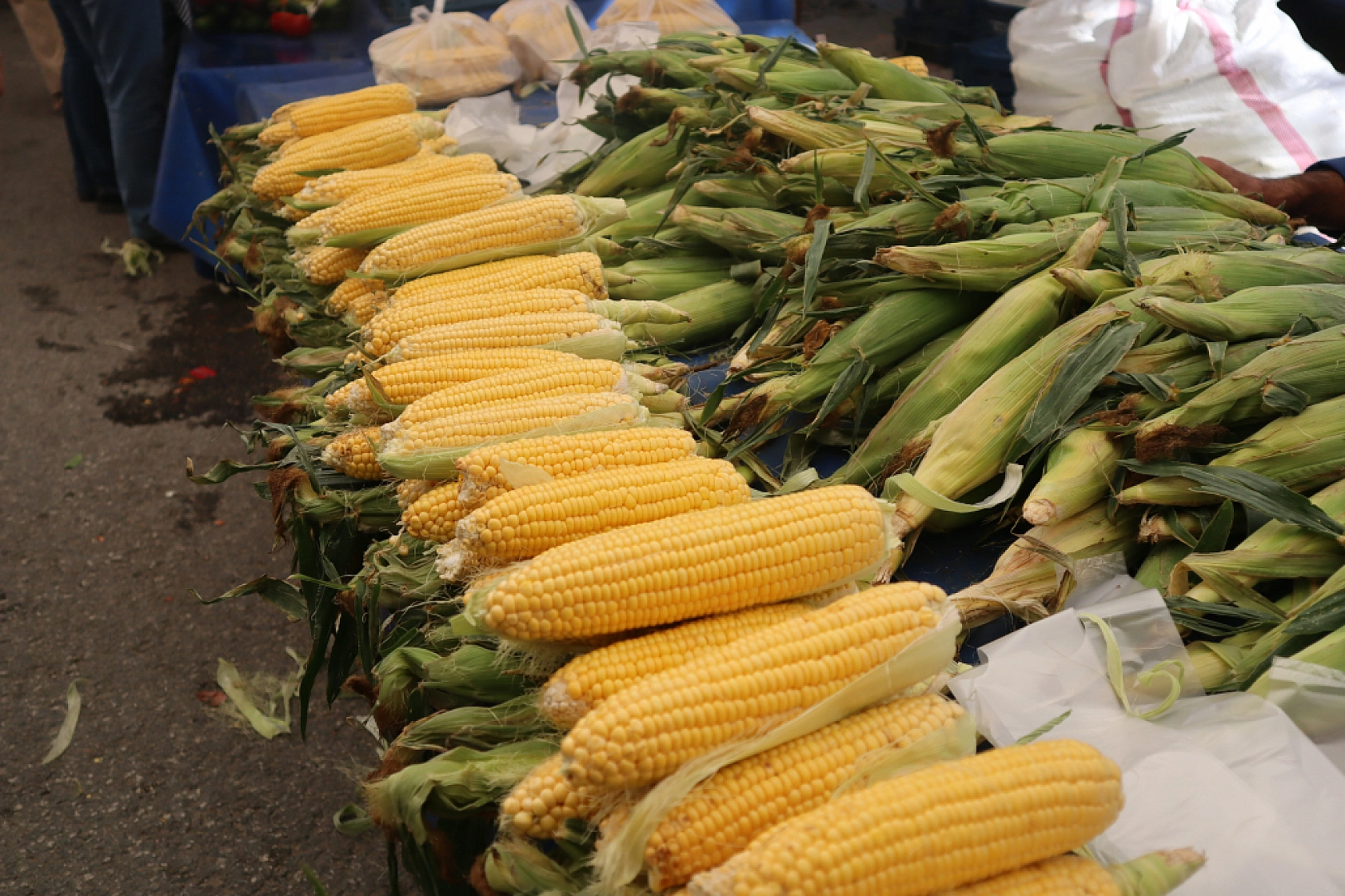 Malatyalıların Turşu Hazırlıkları Pahalıya Patladı! Fiyatlar Cep Yakıyor..!
