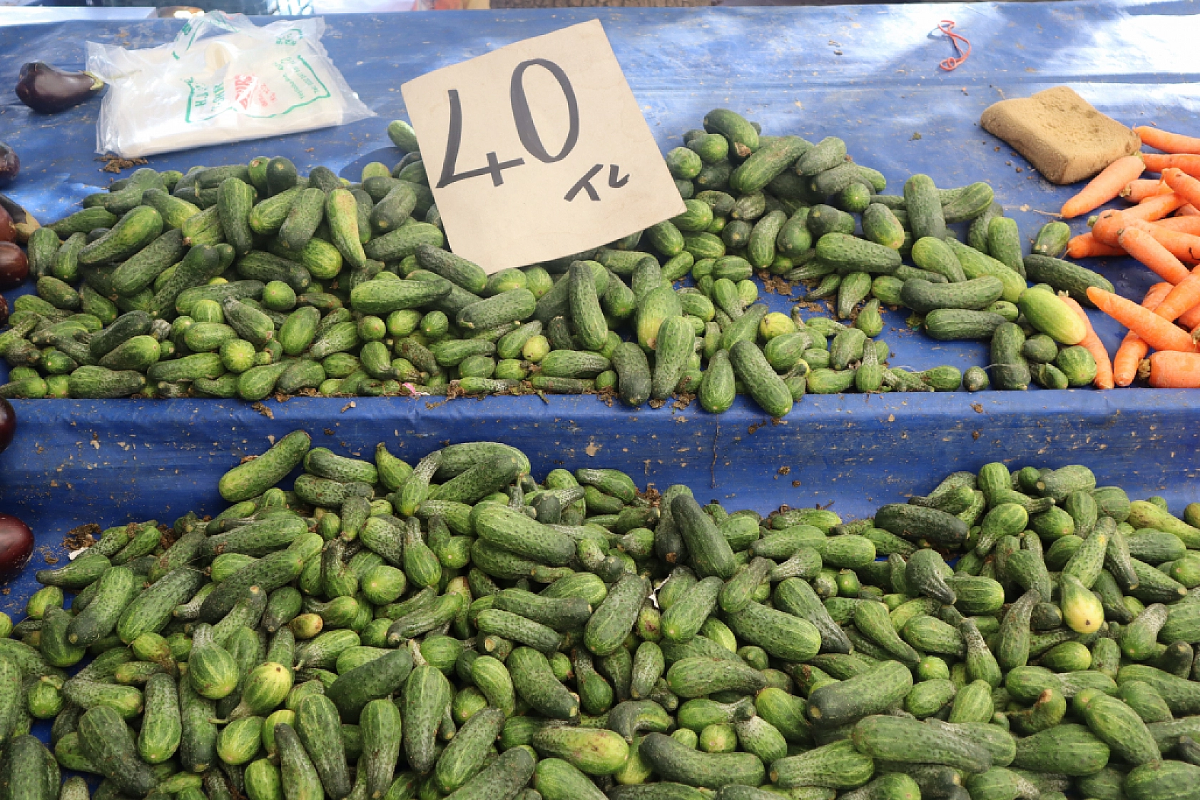 Malatyalıların Turşu Hazırlıkları Pahalıya Patladı! Fiyatlar Cep Yakıyor..!