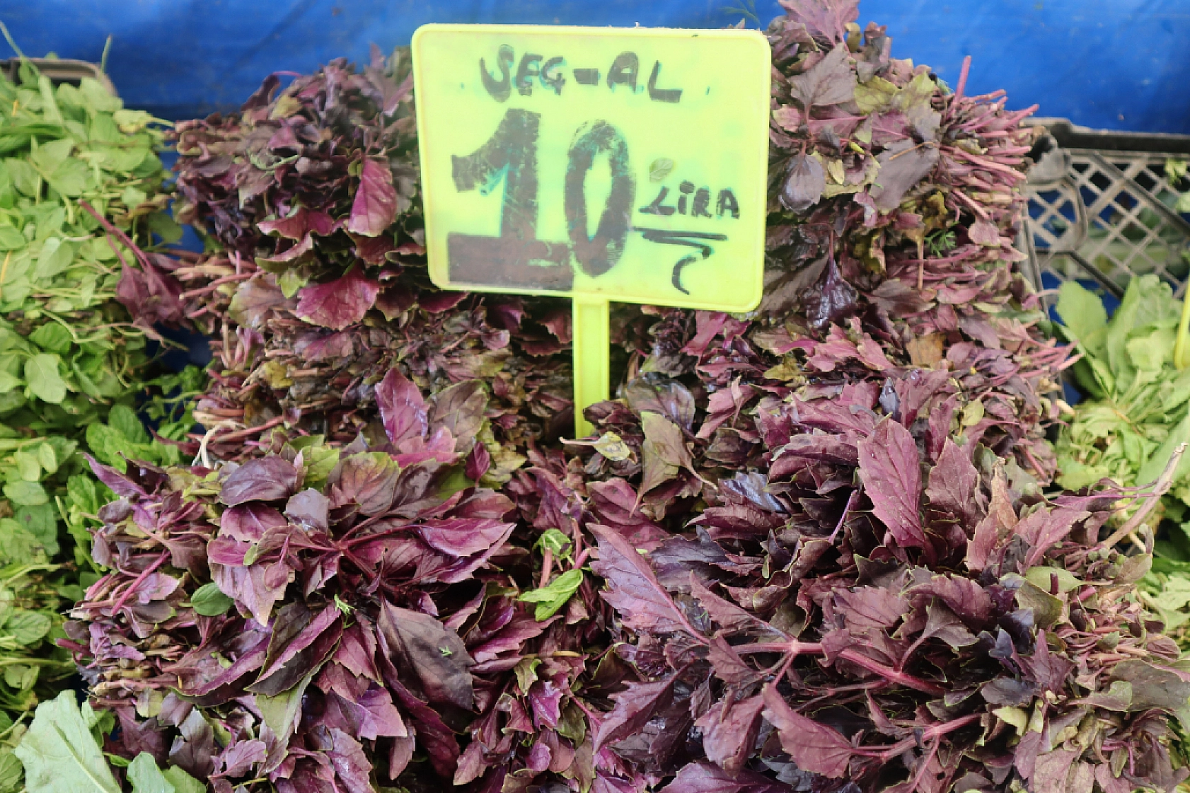 Malatyalılar Alışveriş Tercihlerini Değiştirdi! Marketlere Değil Semt Pazarlarına Akın Ettiler..