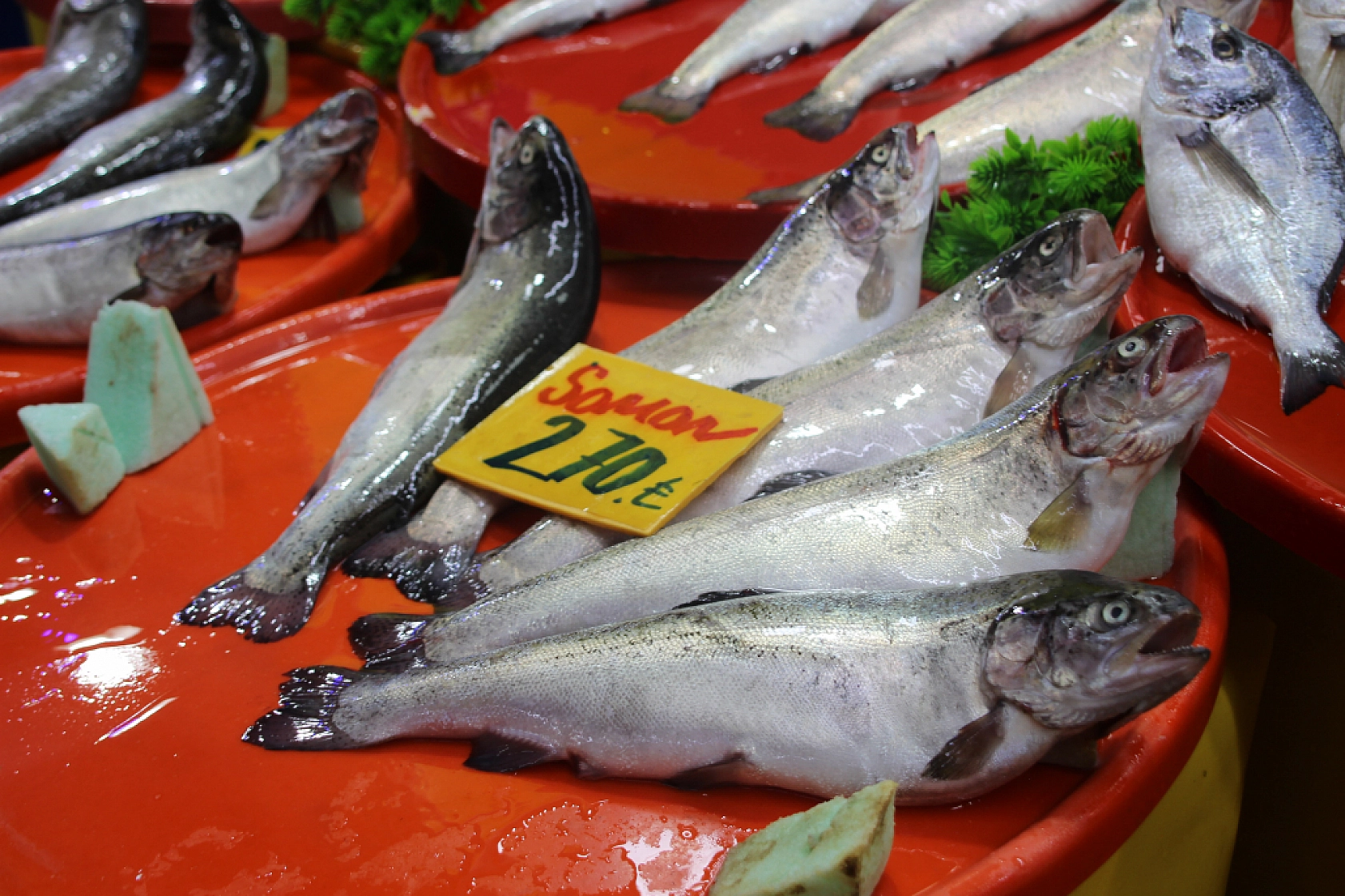 Malatya'da sezonu açıldı: Peki balık fiyatları nasıl? İşte en çok satılan balıklar ve fiyatları...