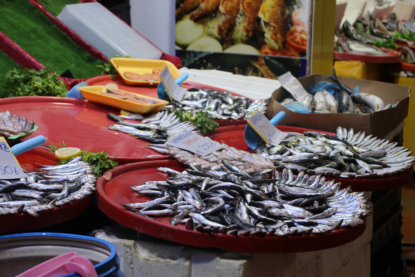 Malatya'da sezonu açıldı: Peki balık fiyatları nasıl? İşte en çok satılan balıklar ve fiyatları...