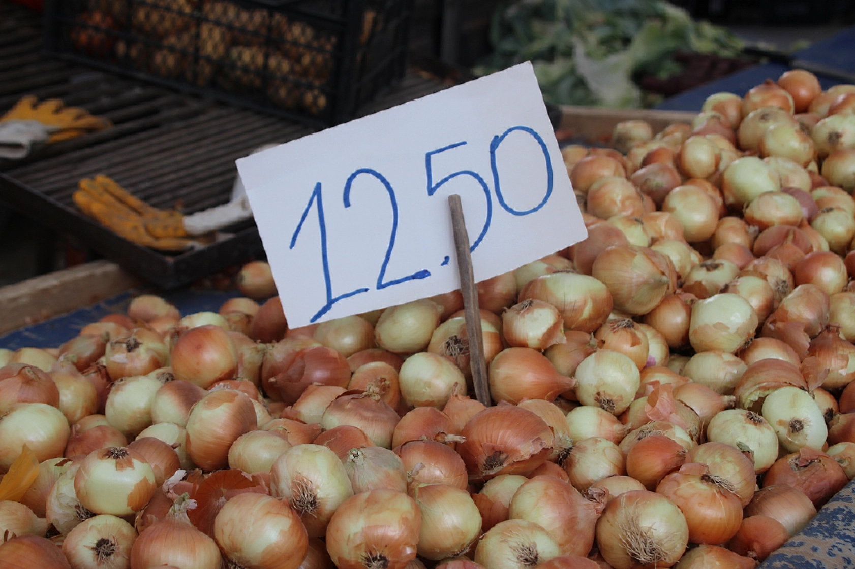Malatya'da sebze fiyatları yüz güldürdü, meyve tezgâhları cep yaktı: Peki, pazarda sebze meyve fiyatları ne kadar?