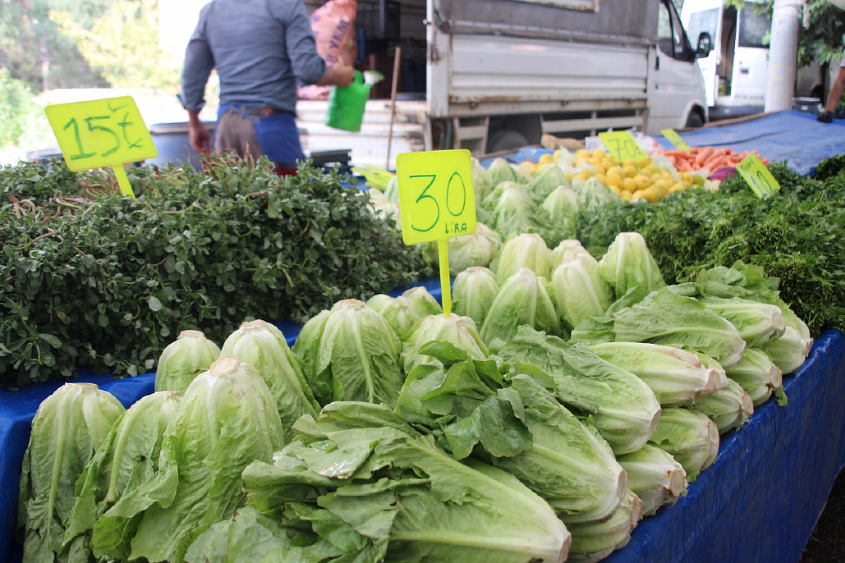 Malatya'da sebze fiyatları yüz güldürdü, meyve tezgâhları cep yaktı: Peki, pazarda sebze meyve fiyatları ne kadar?