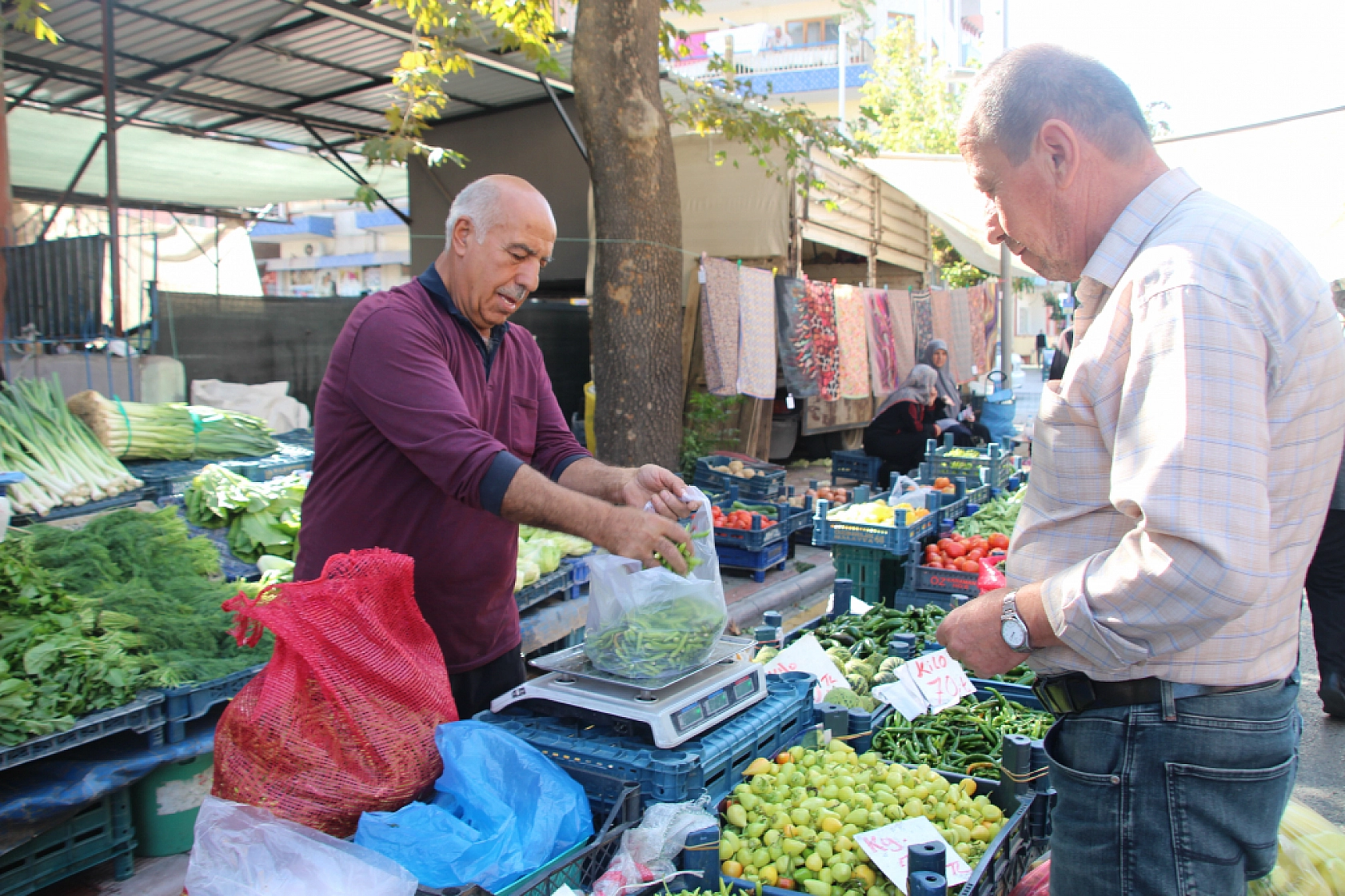 Malatya'da Poşetler Hafifliyor! Artık Pazarda da Sebze Meyve Almak Cep Yakıyor..!