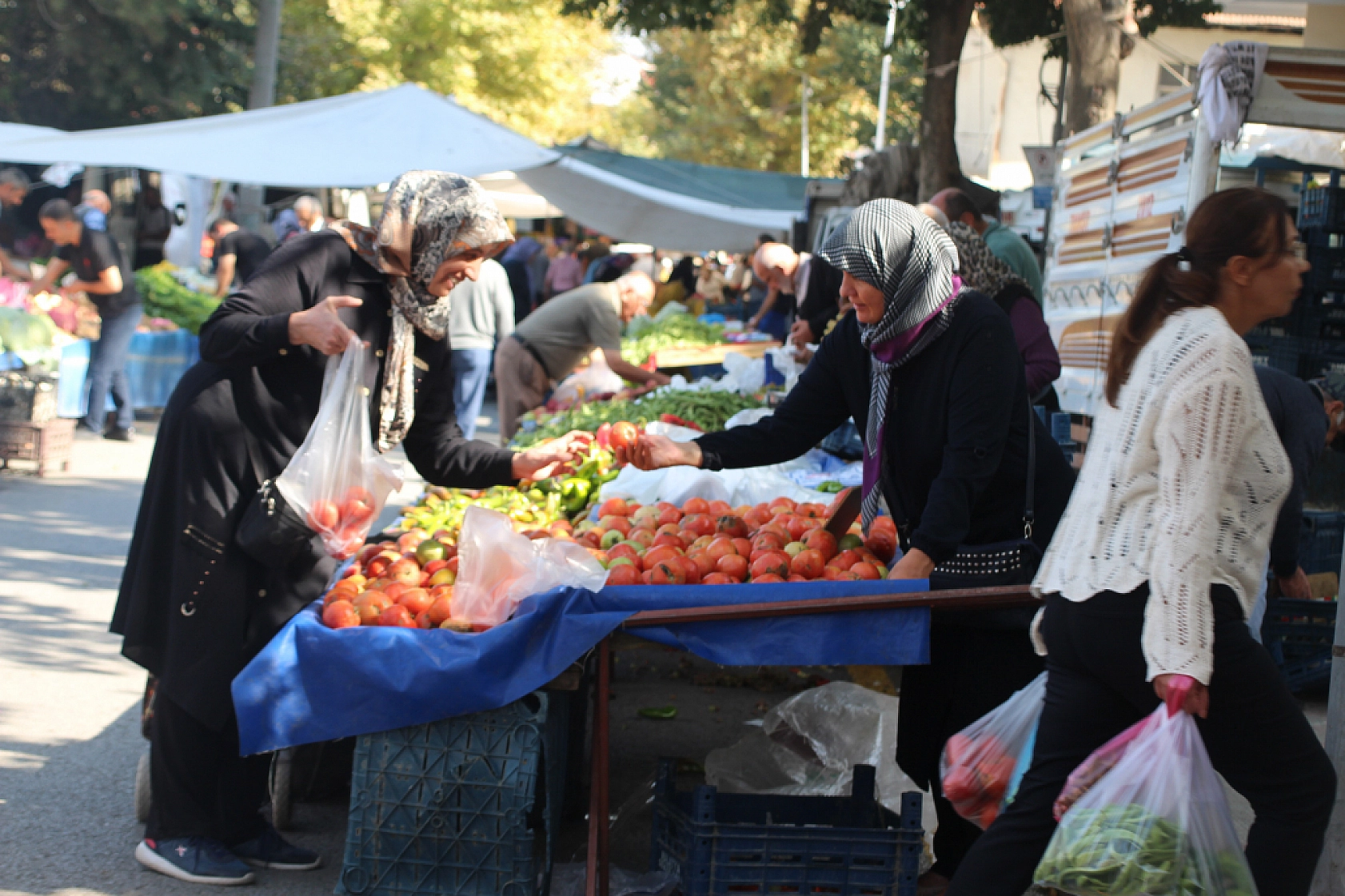 Malatya'da Poşetler Hafifliyor! Artık Pazarda da Sebze Meyve Almak Cep Yakıyor..!