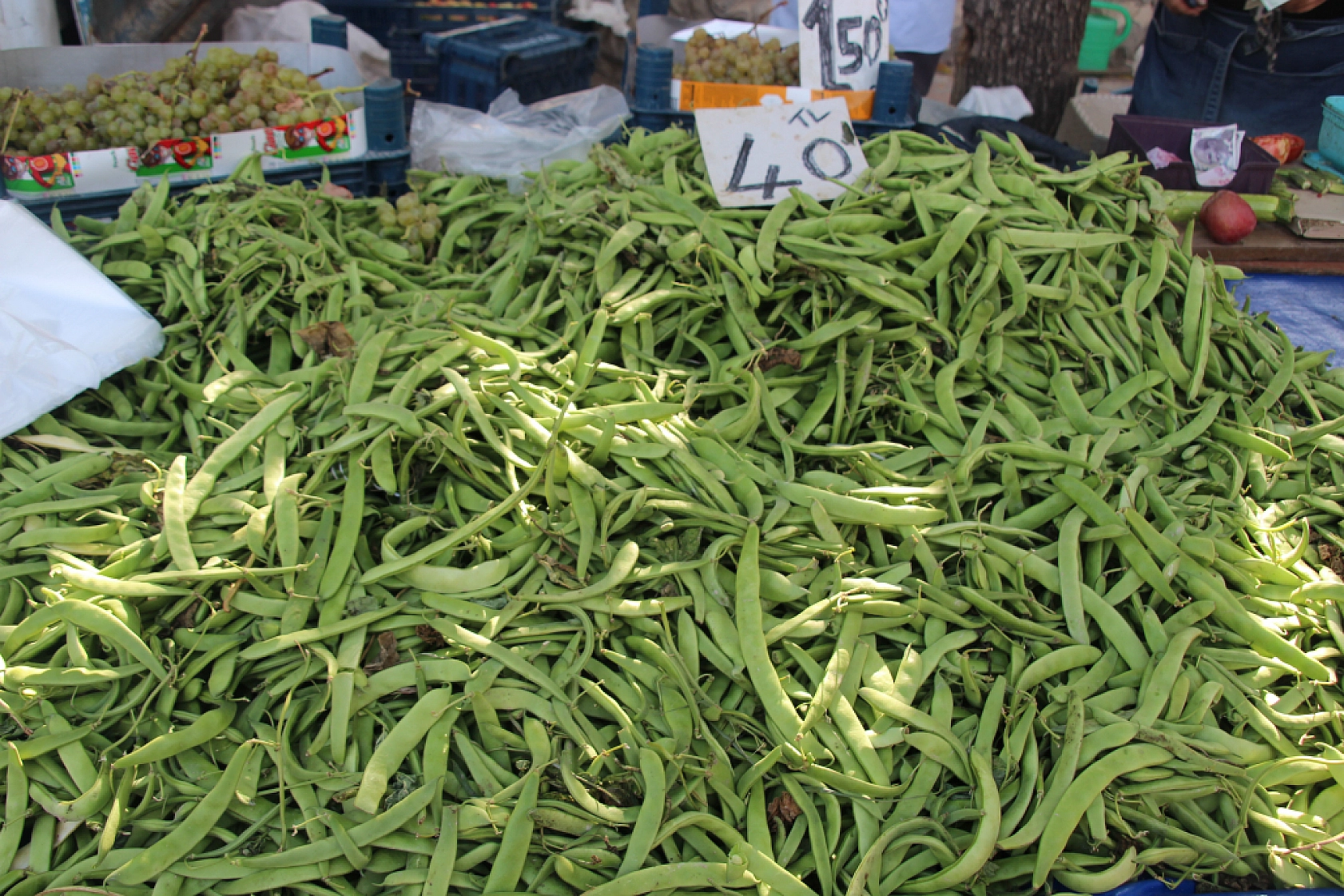 Malatya'da Poşetler Hafifliyor! Artık Pazarda da Sebze Meyve Almak Cep Yakıyor..!