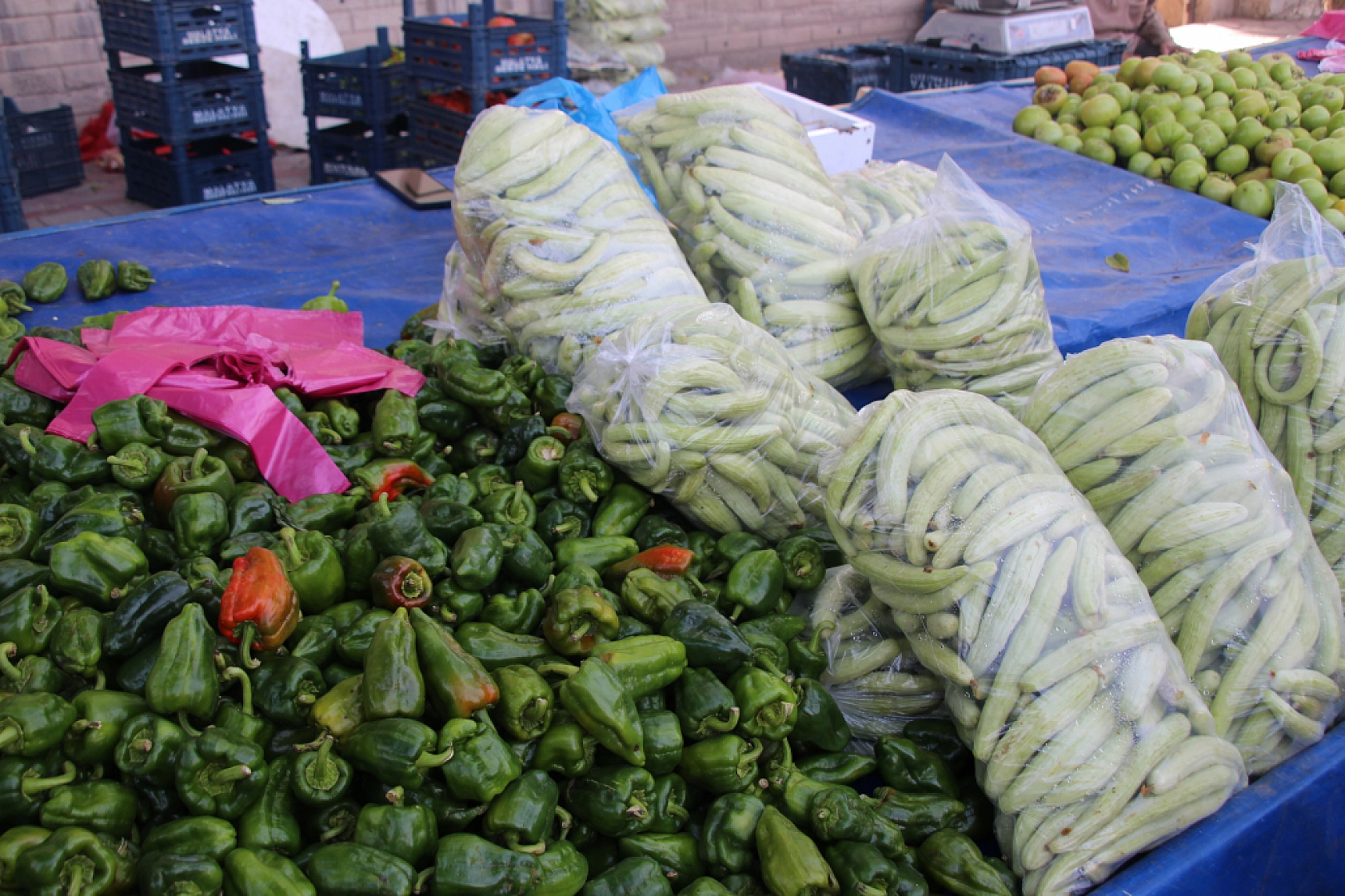 Malatya'da Poşetler Hafifliyor! Artık Pazarda da Sebze Meyve Almak Cep Yakıyor..!