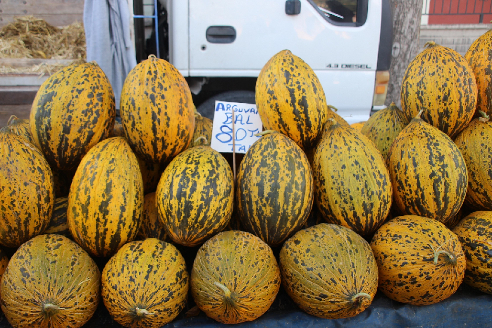 Malatya'da Poşetler Hafifliyor! Artık Pazarda da Sebze Meyve Almak Cep Yakıyor..!