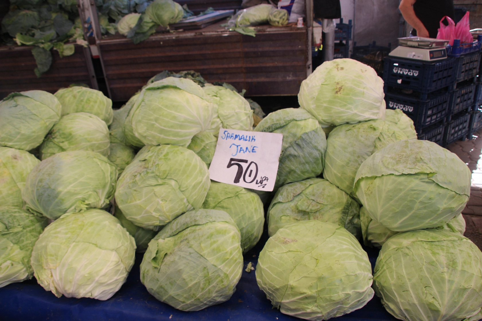 Malatya'da Poşetler Hafifliyor! Artık Pazarda da Sebze Meyve Almak Cep Yakıyor..!
