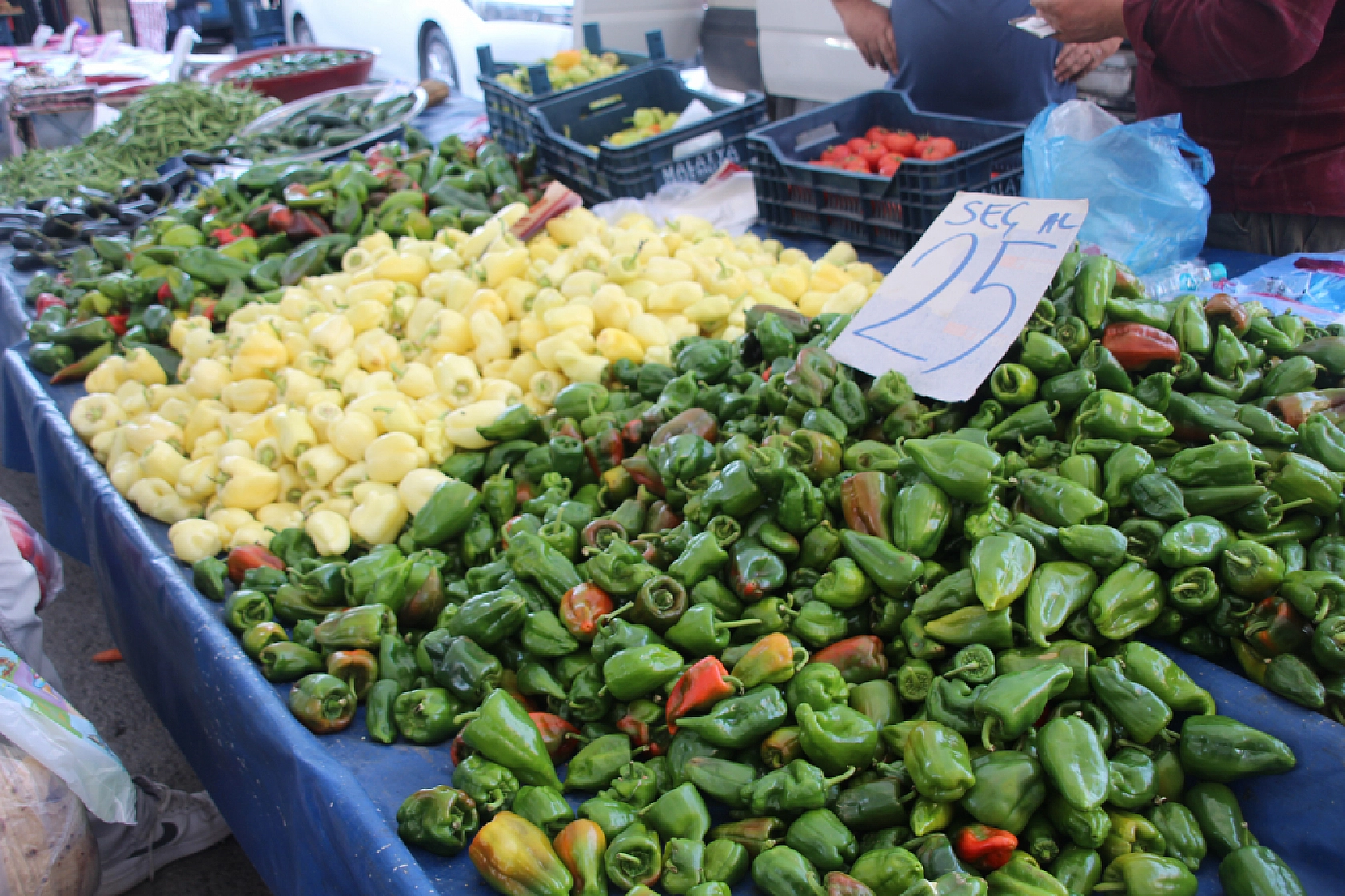 Malatya'da Poşetler Hafifliyor! Artık Pazarda da Sebze Meyve Almak Cep Yakıyor..!