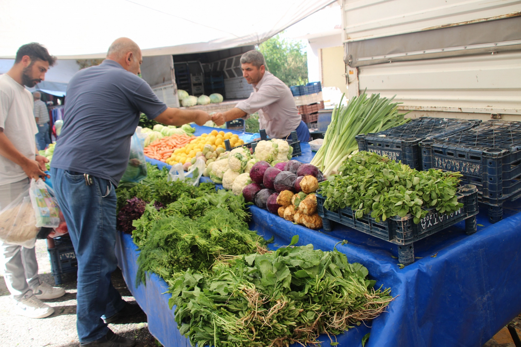 Malatya'da Poşetler Hafifliyor! Artık Pazarda da Sebze Meyve Almak Cep Yakıyor..!