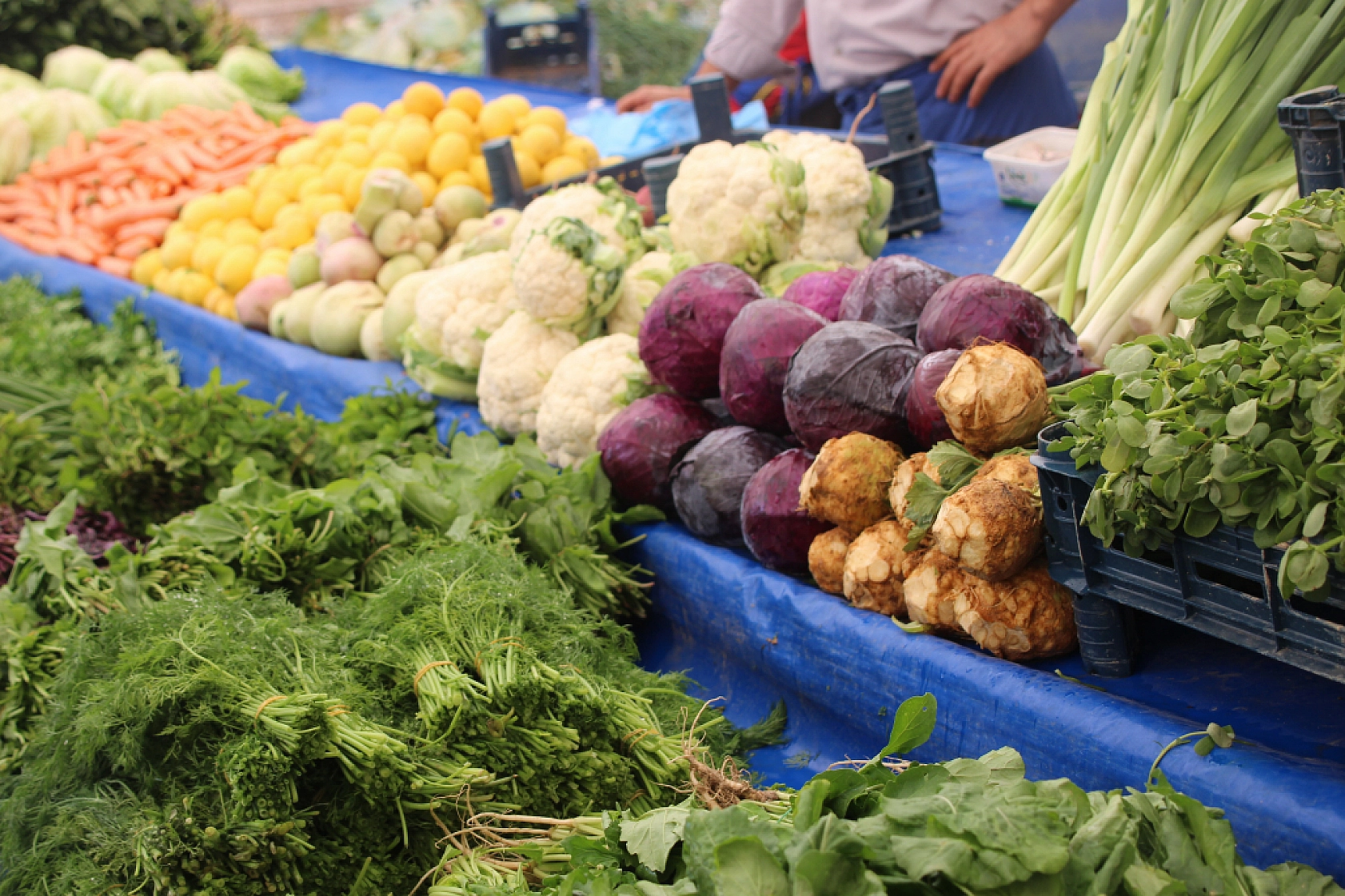 Malatya'da Poşetler Hafifliyor! Artık Pazarda da Sebze Meyve Almak Cep Yakıyor..!