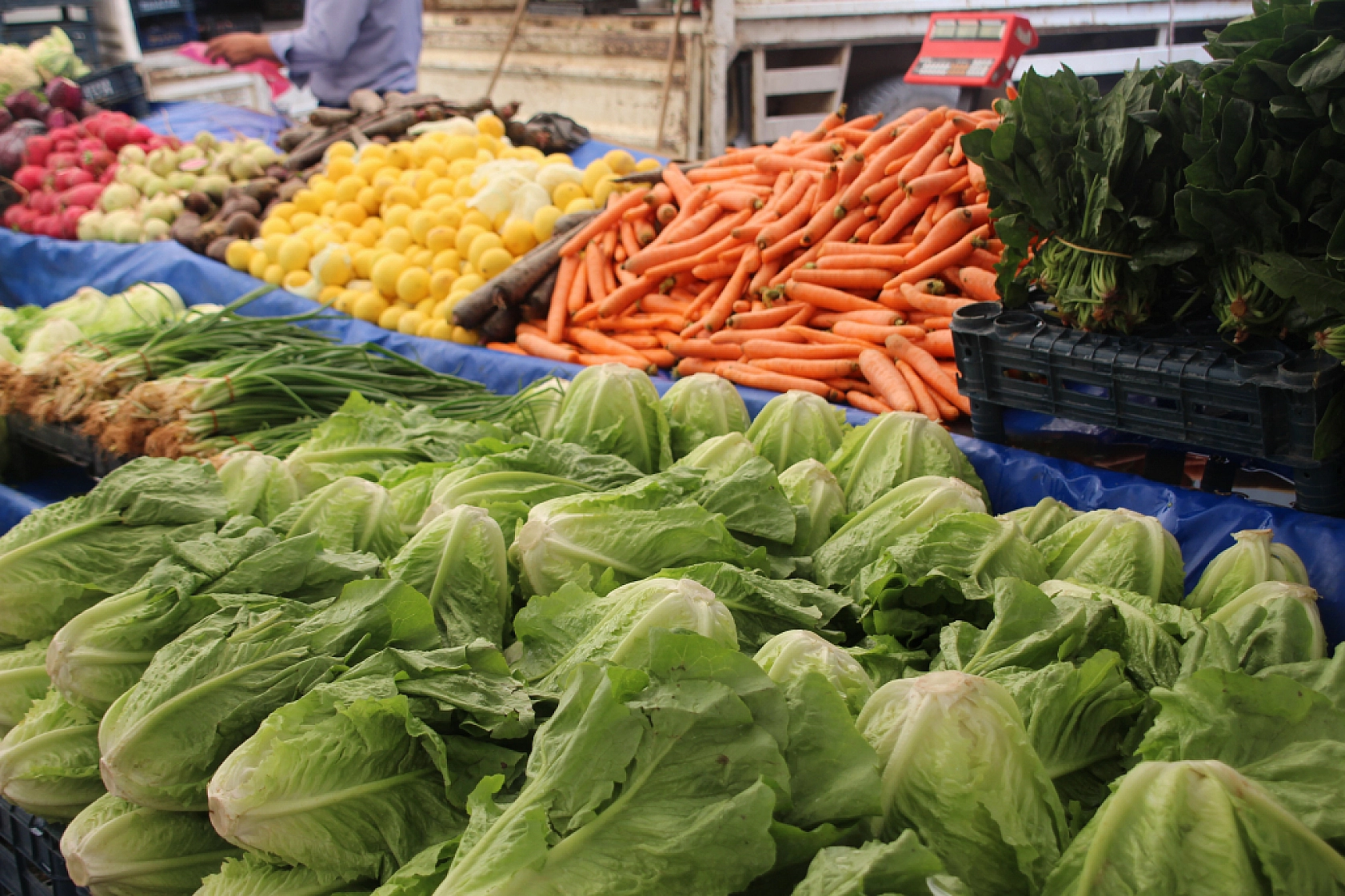 Malatya'da Poşetler Hafifliyor! Artık Pazarda da Sebze Meyve Almak Cep Yakıyor..!